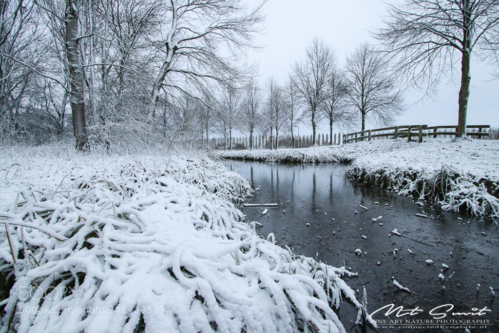 Canon EOS 80D sample photo. Winter in kardinge 2 photography