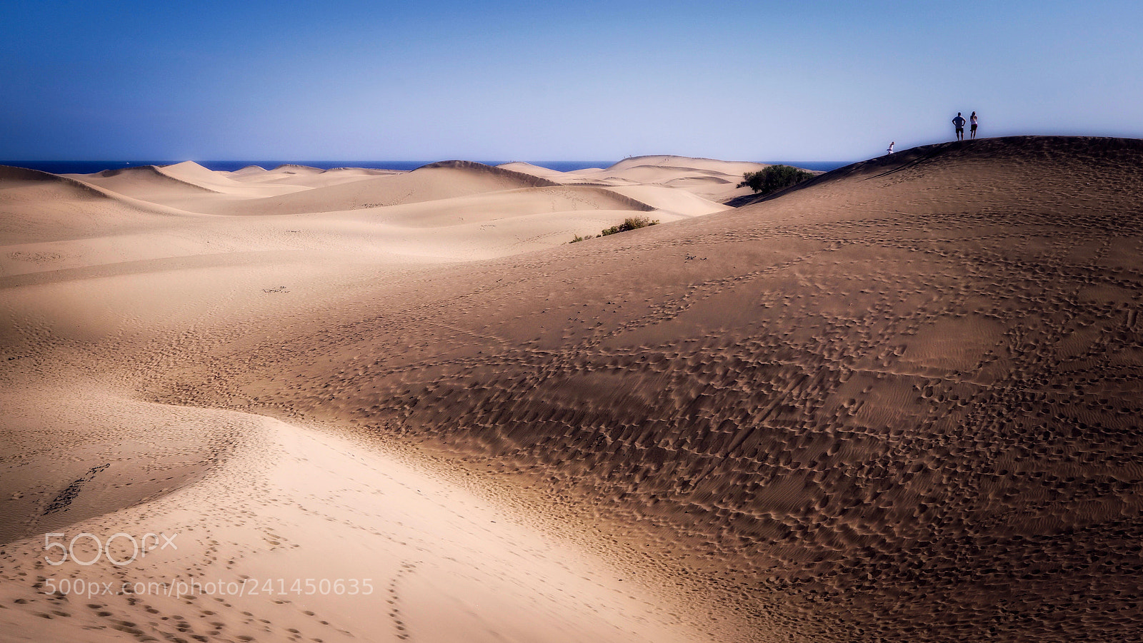 Sony SLT-A65 (SLT-A65V) sample photo. Maspalomas dunes. photography