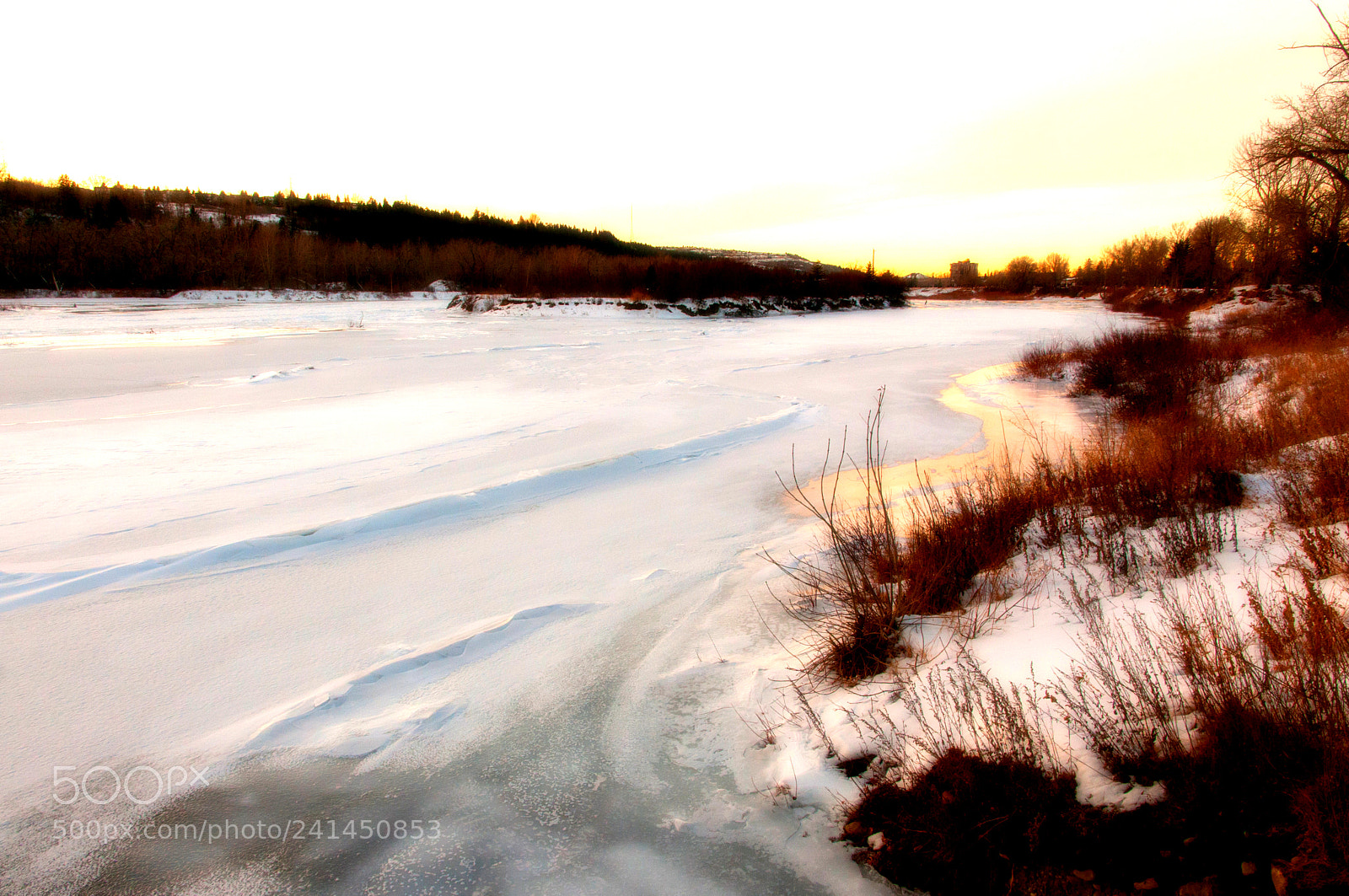 Nikon D300S sample photo. Winter glow photography