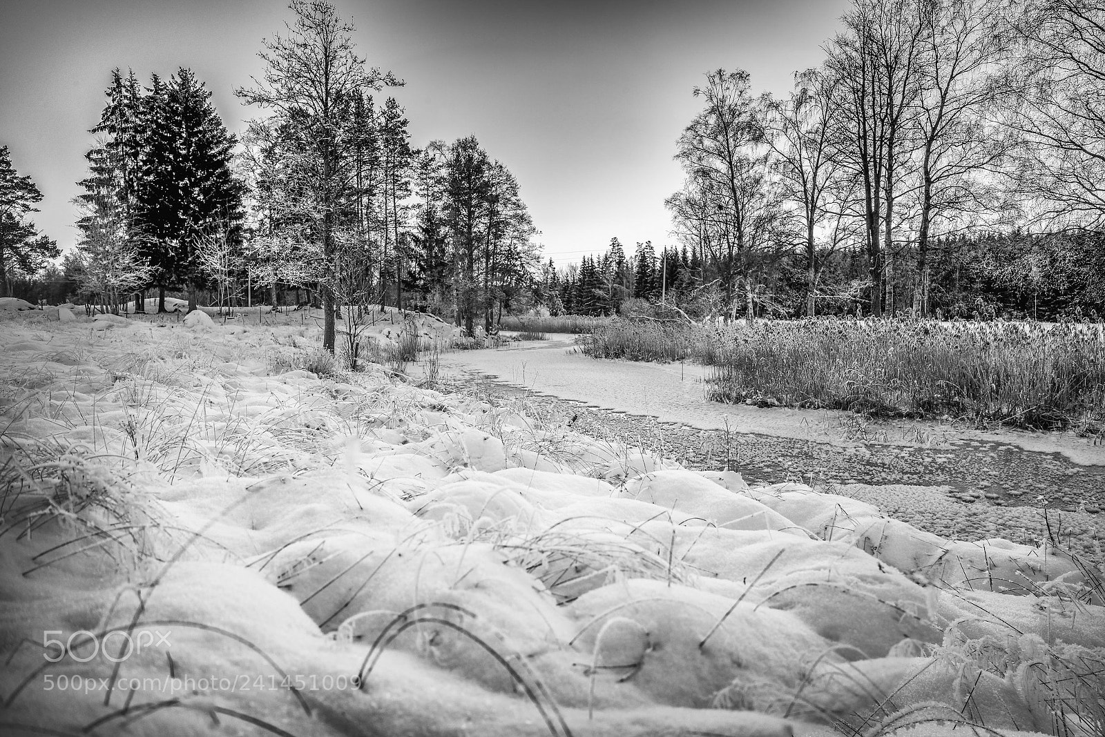 Sony a7R sample photo. Landscape photography