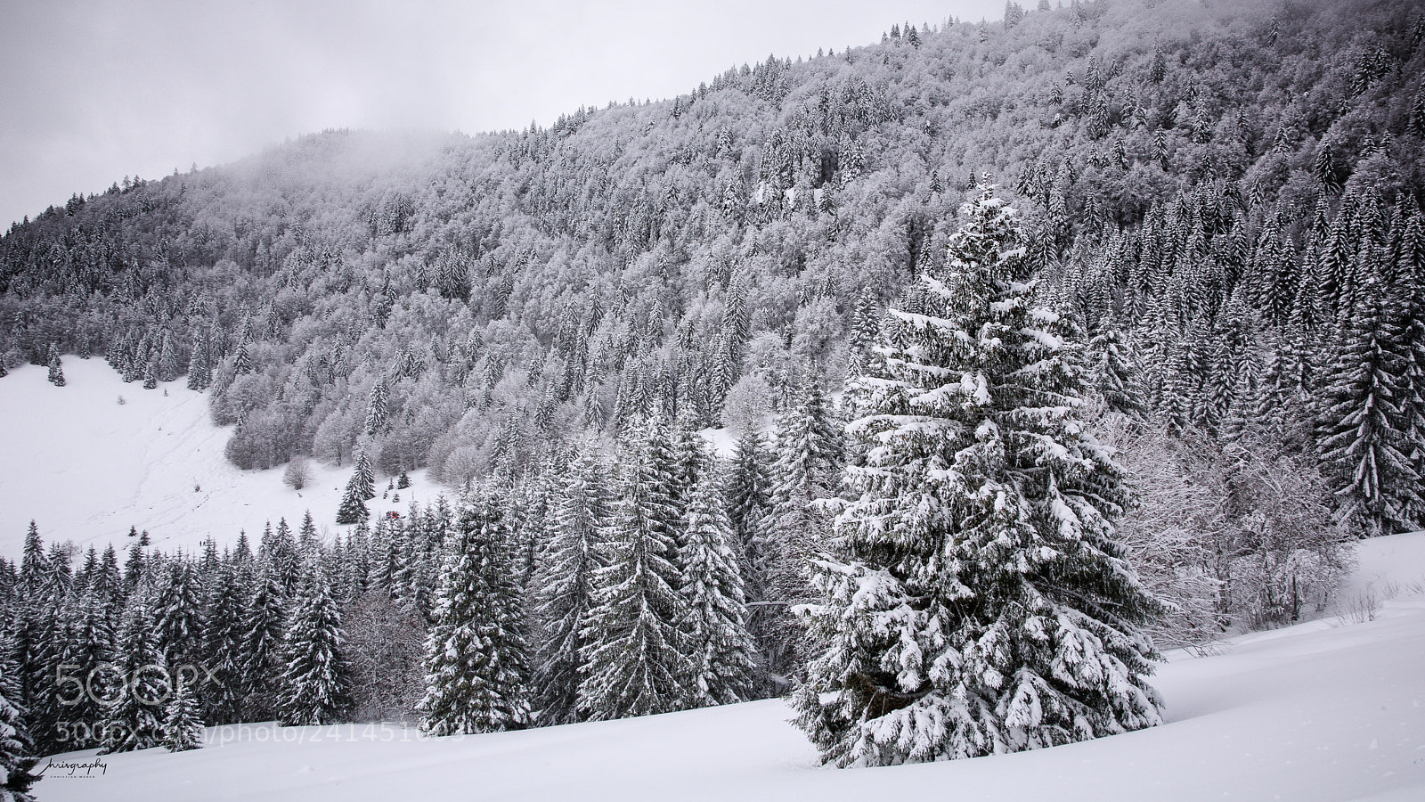 Nikon D7100 sample photo. Wintertannen photography