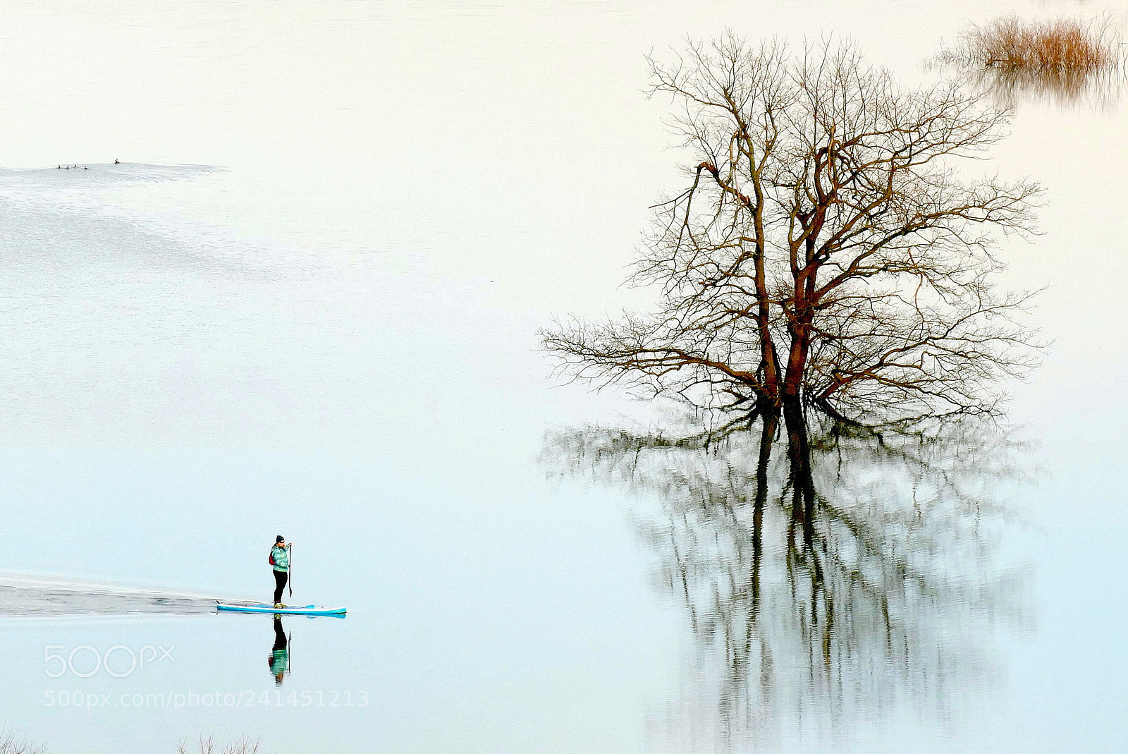 Panasonic Lumix DMC-FZ1000 sample photo. Winter sport on flooded photography
