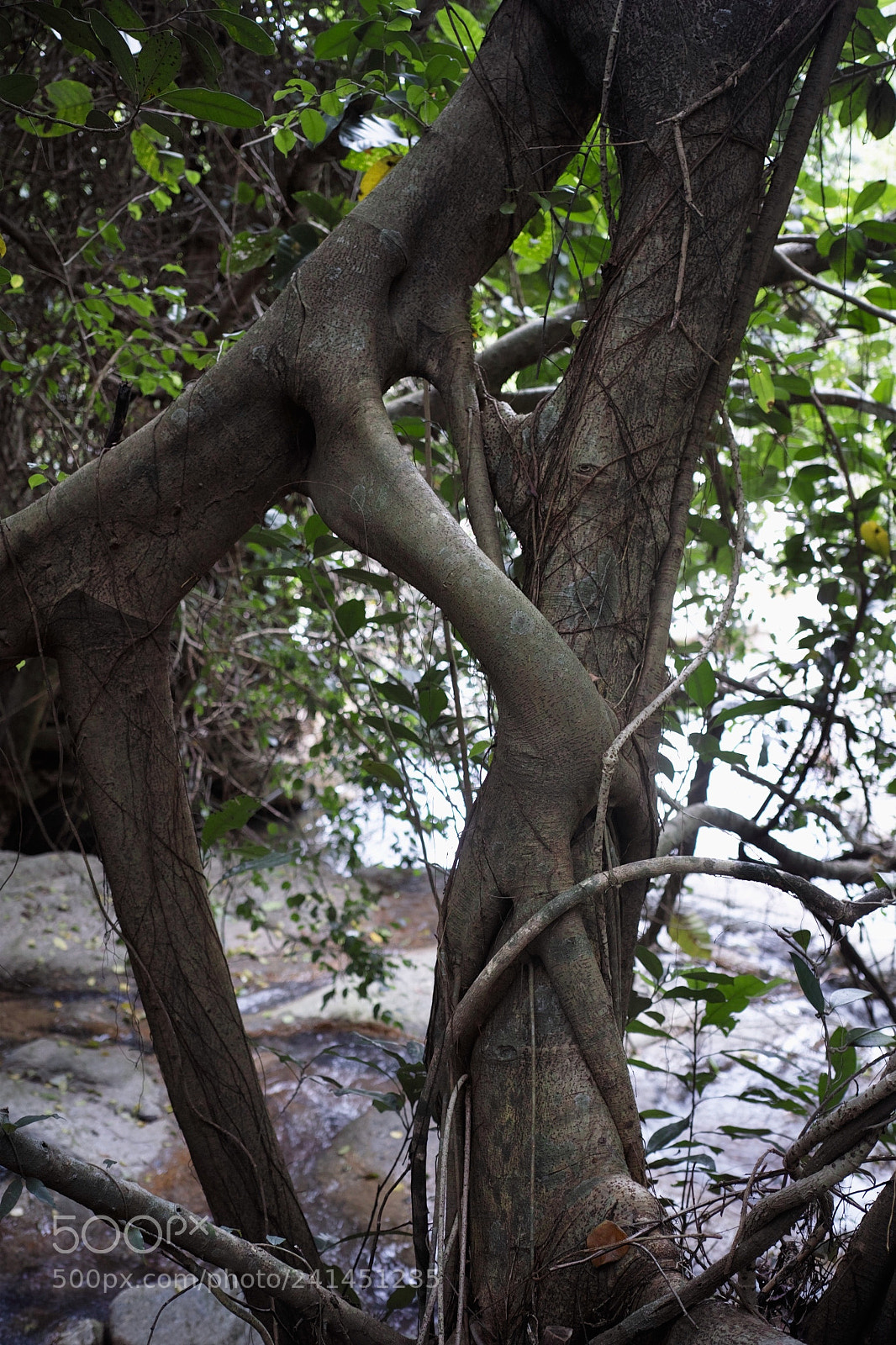 Sigma dp2 Quattro sample photo. * photography