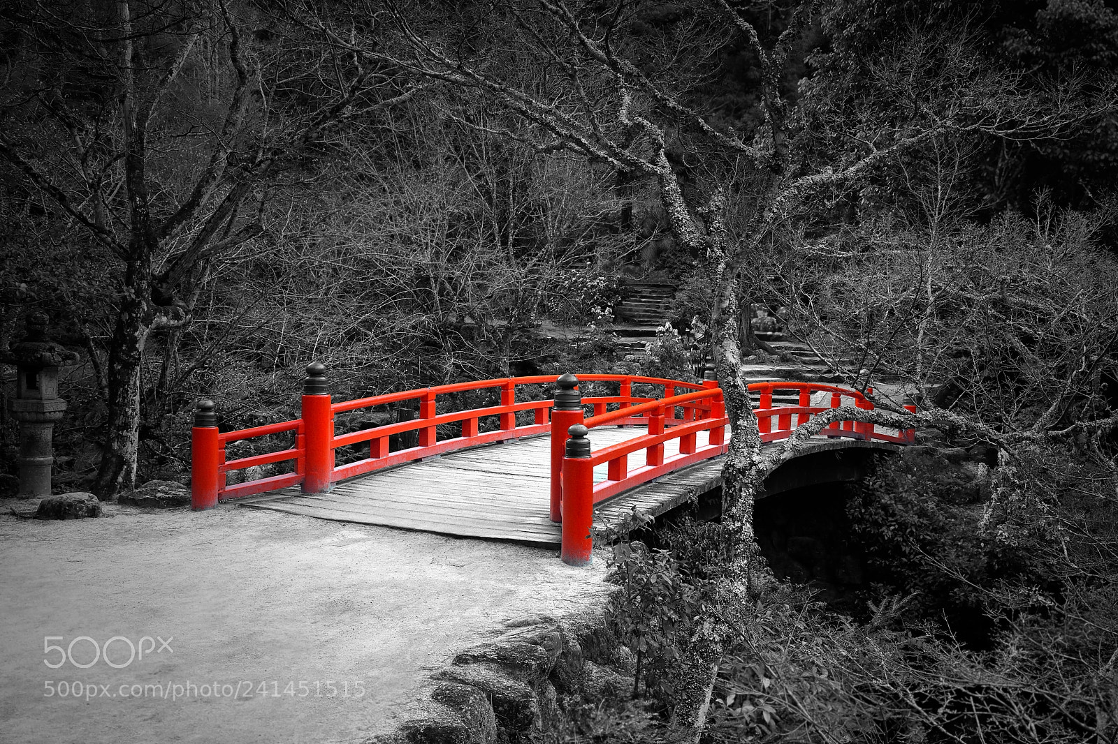Nikon D7200 sample photo. Red bridge photography