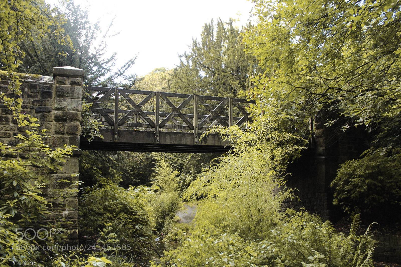 Canon EOS 1300D (EOS Rebel T6 / EOS Kiss X80) sample photo. Under the bridge photography