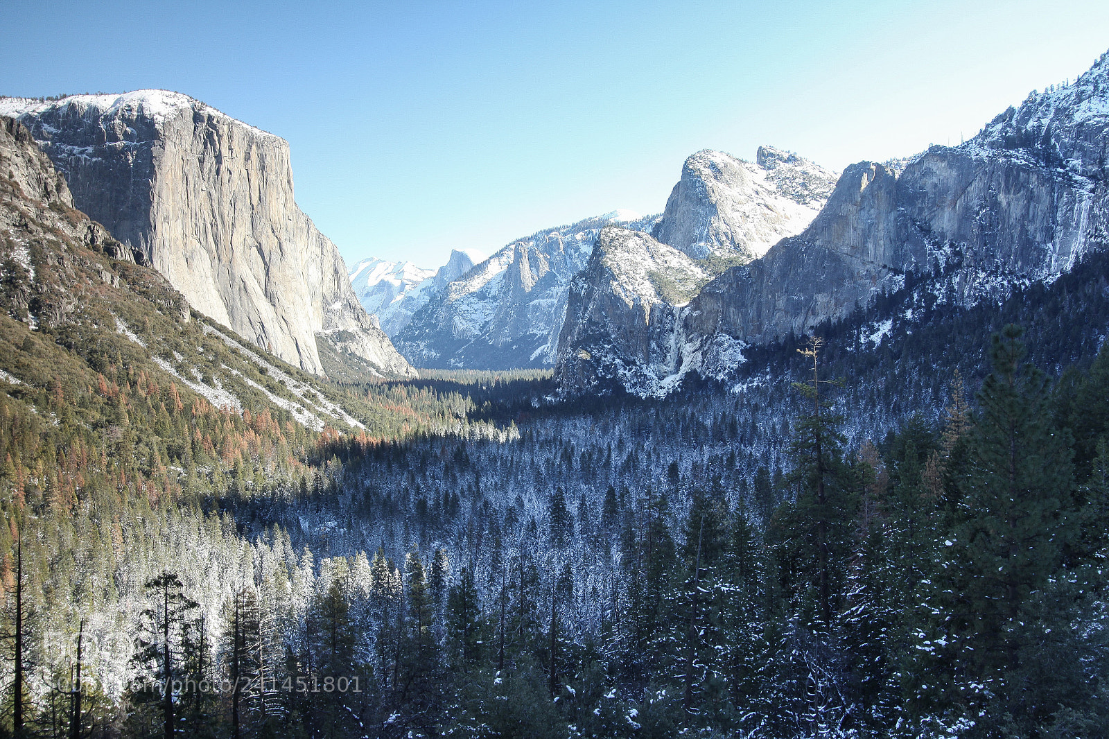 Canon EOS 50D sample photo. Tunnel view photography