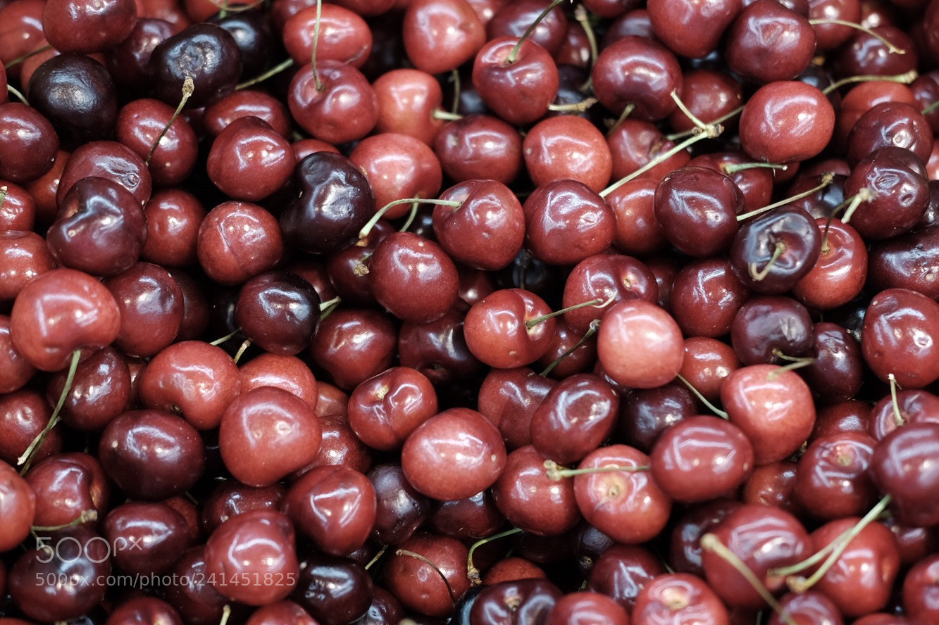 Fujifilm X-T10 sample photo. Untitled photography