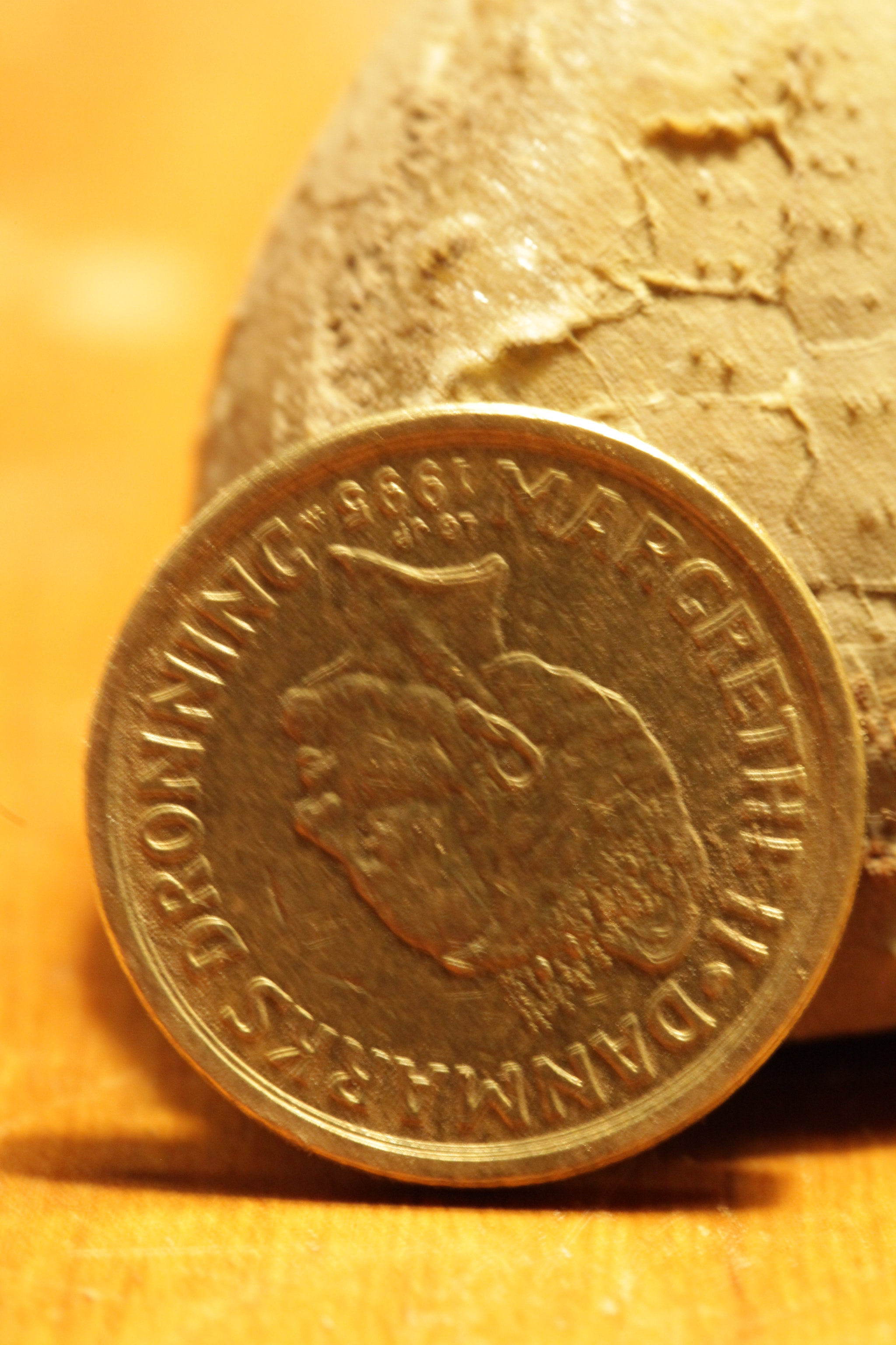 Canon EF 100mm F2.8L Macro IS USM sample photo. Img photography