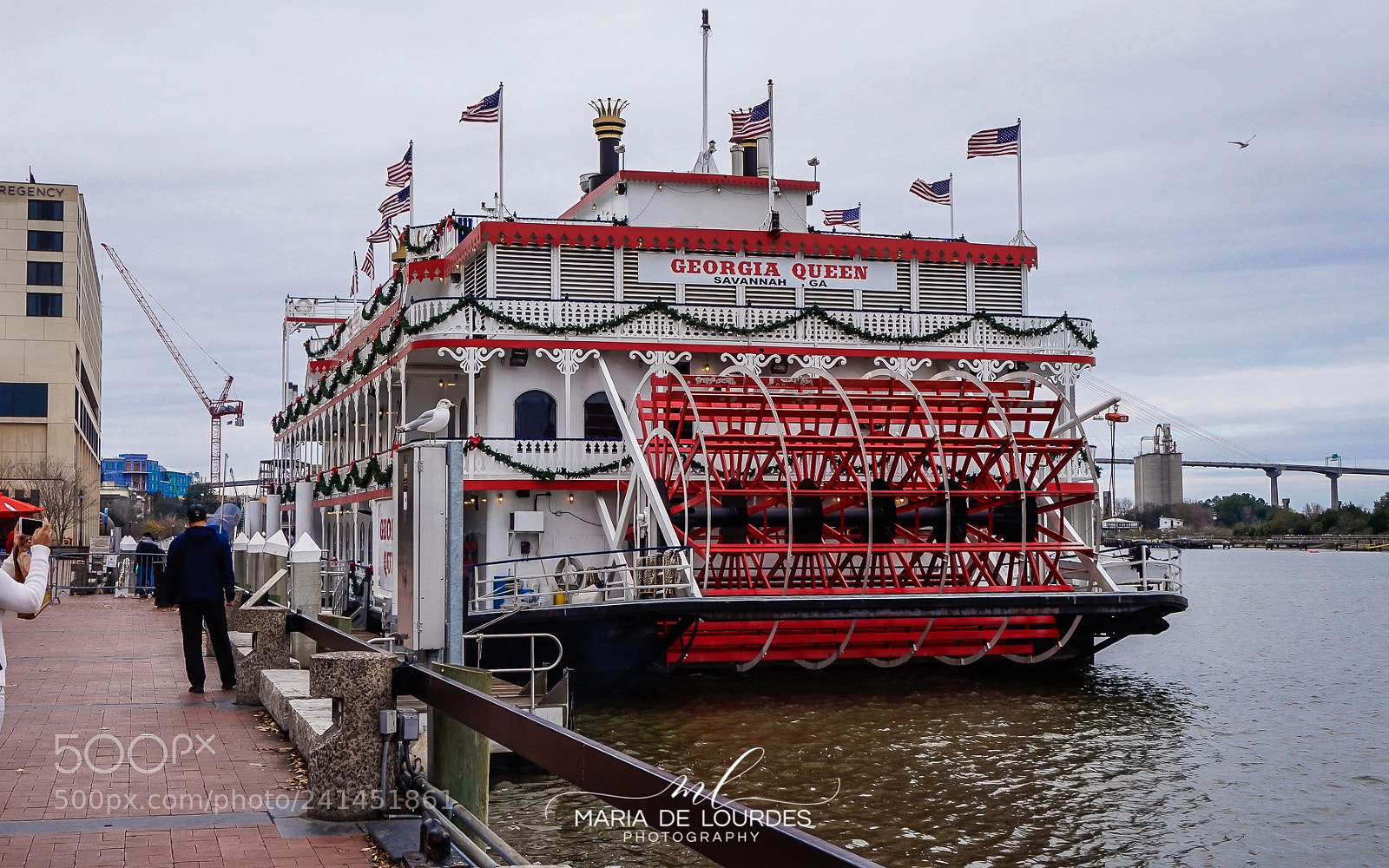 Sony Alpha a5000 (ILCE 5000) sample photo. Georgia queen photography