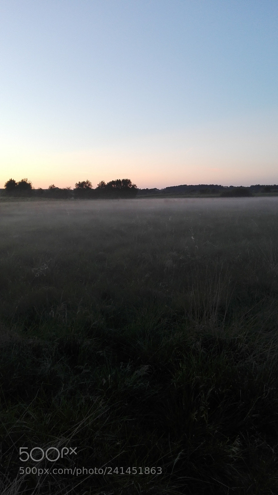 HUAWEI P8 Lite sample photo. Into the mist photography