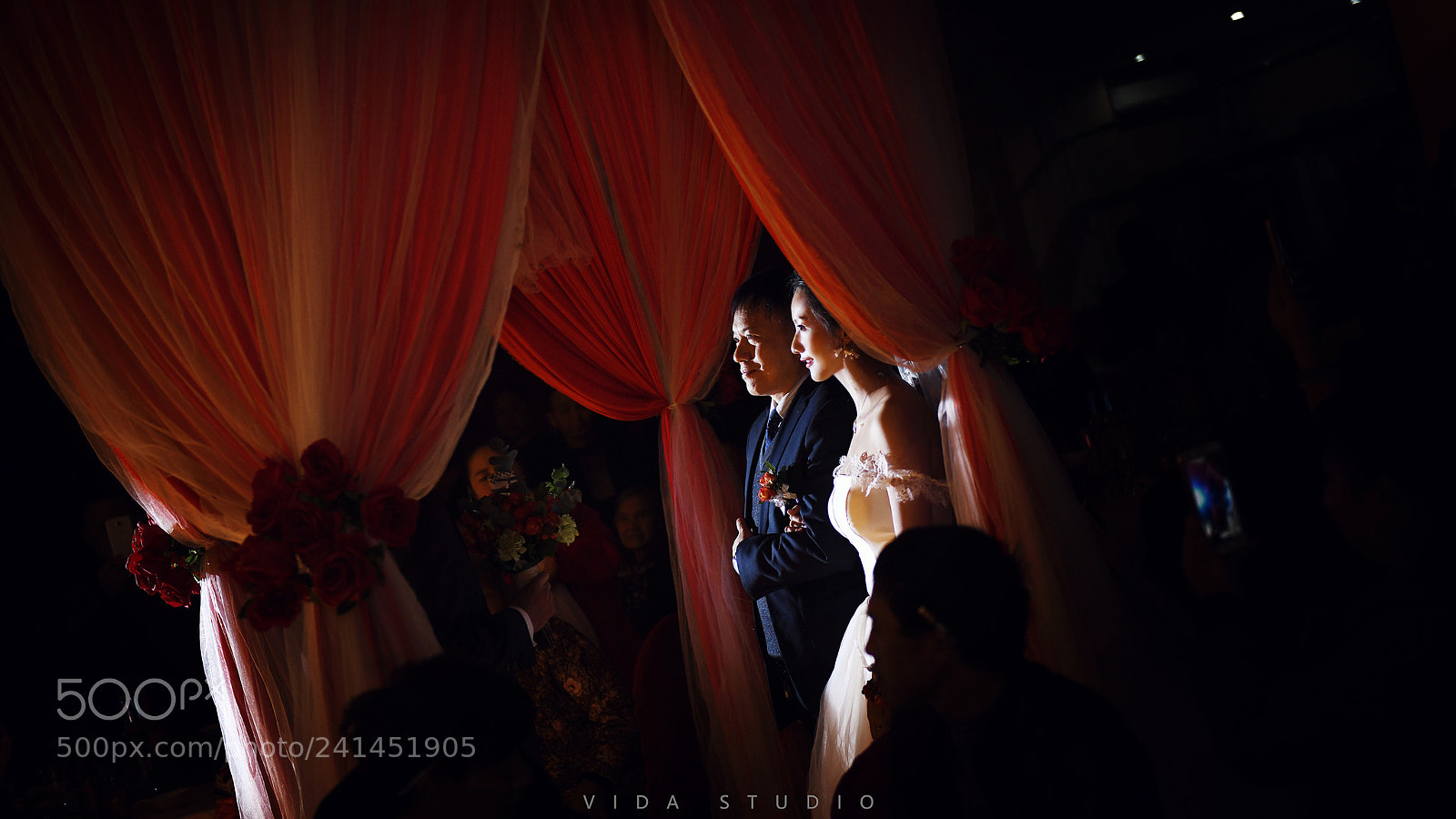 Nikon D850 sample photo. Untitled photography