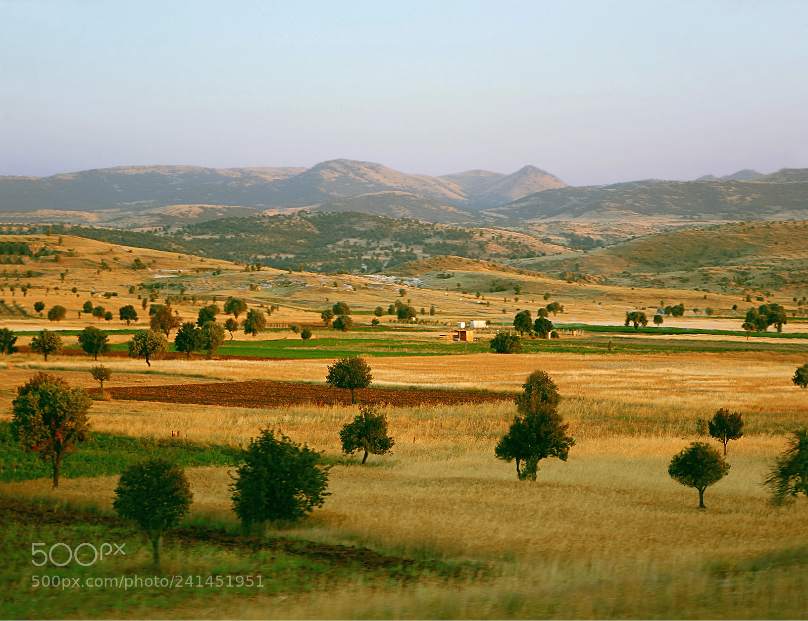Canon EOS 550D (EOS Rebel T2i / EOS Kiss X4) sample photo. Anadolu photography