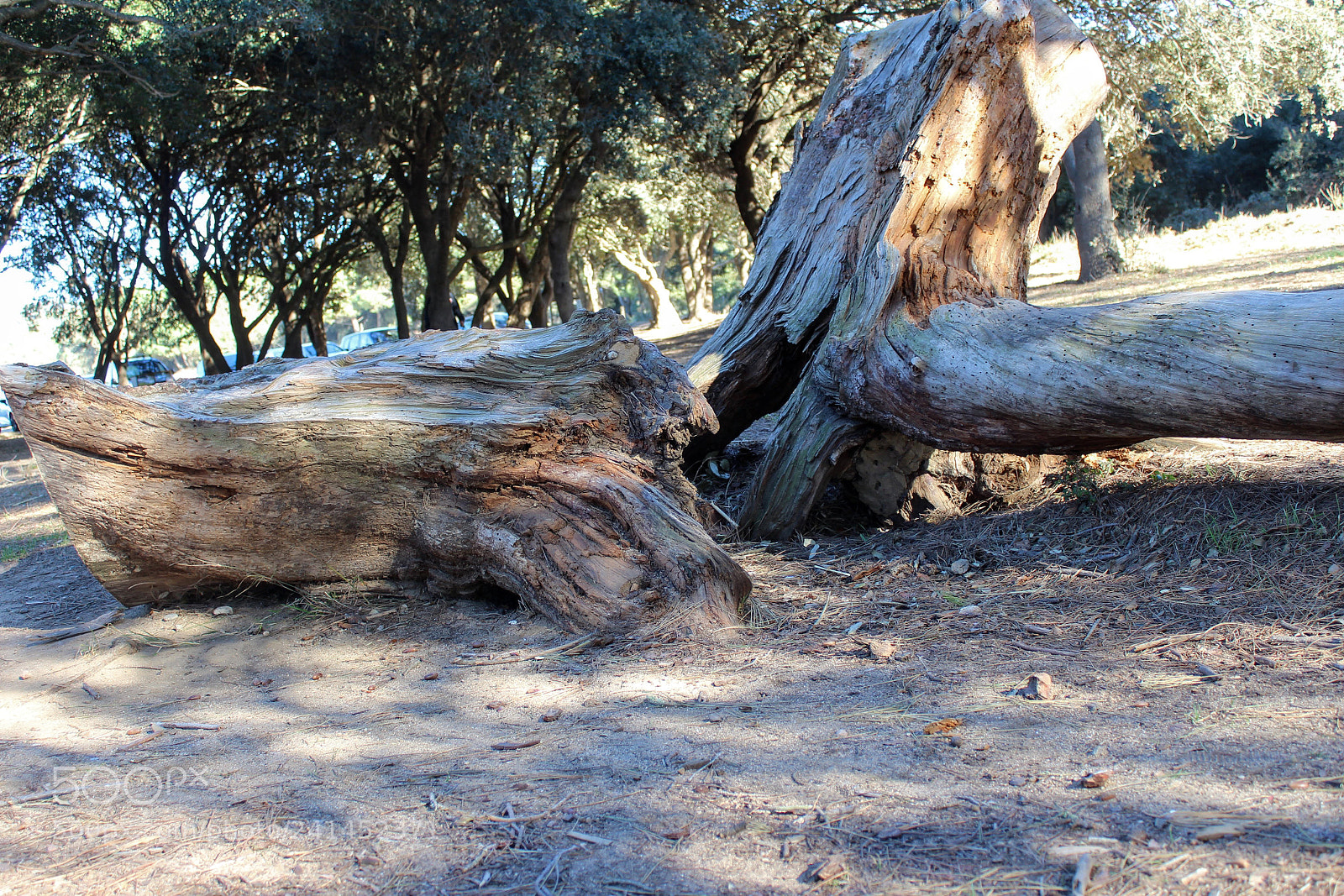 Canon EF-S 18-55mm F3.5-5.6 III sample photo. Cap a castell photography