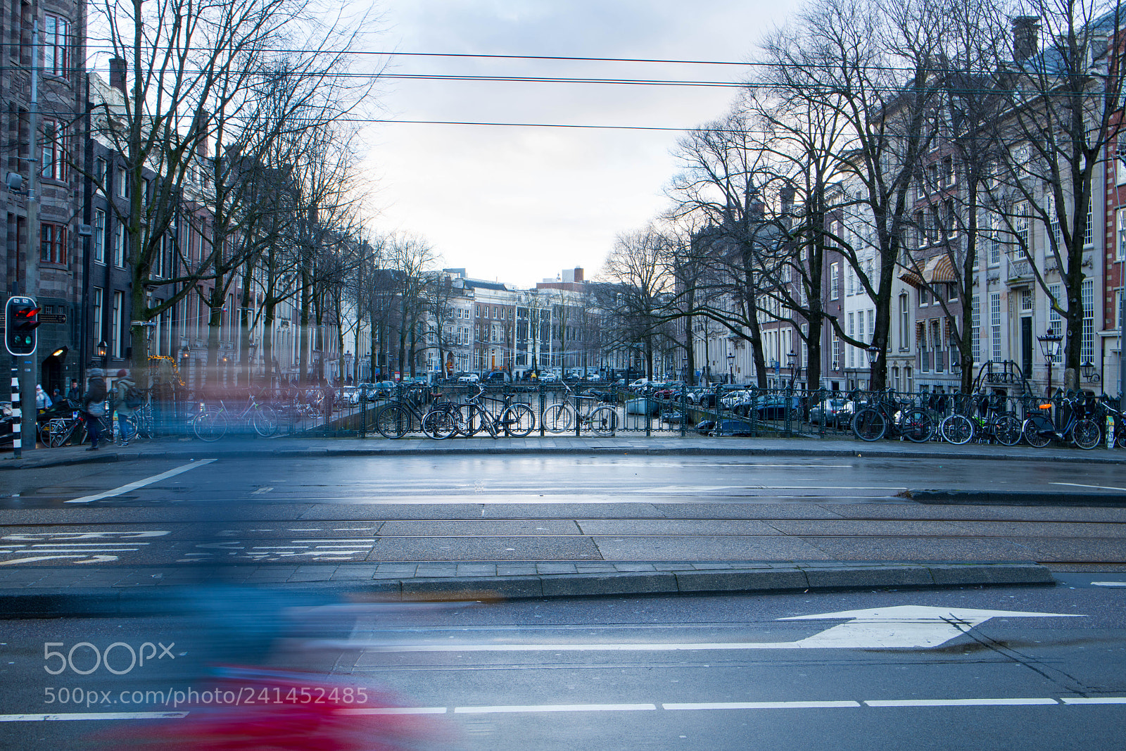 Nikon D850 sample photo. _sp11083-3.jpg photography
