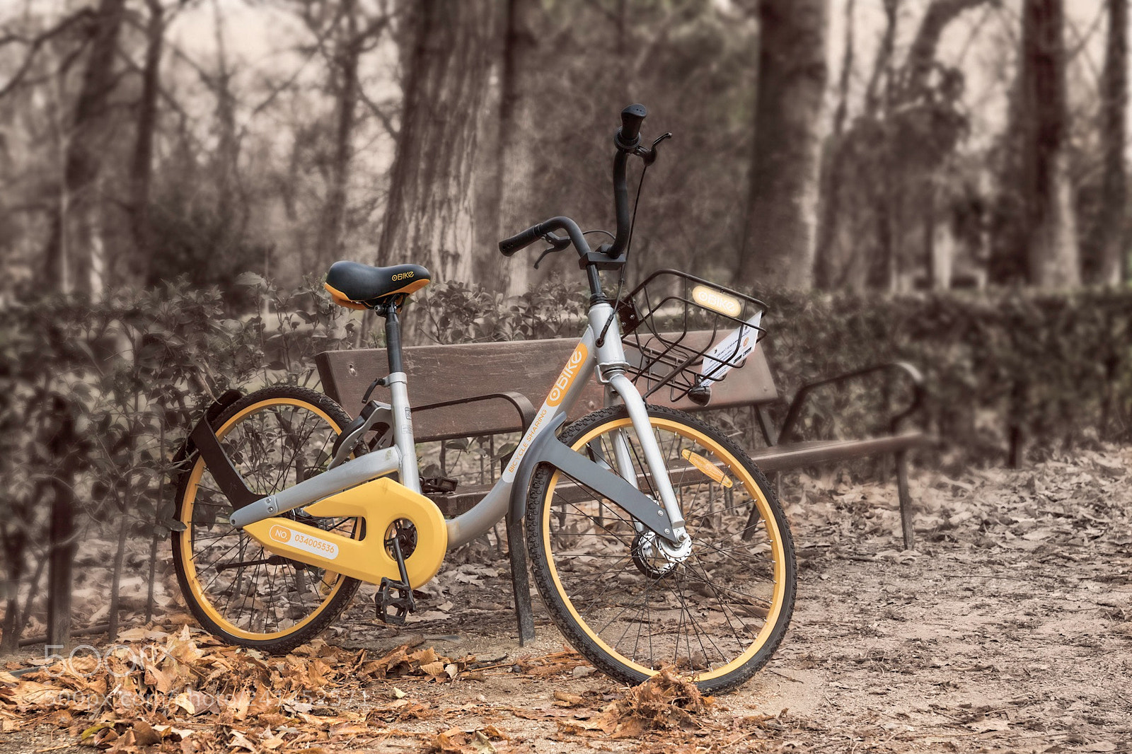 Nikon D850 sample photo. Parque del retiro, madrid photography