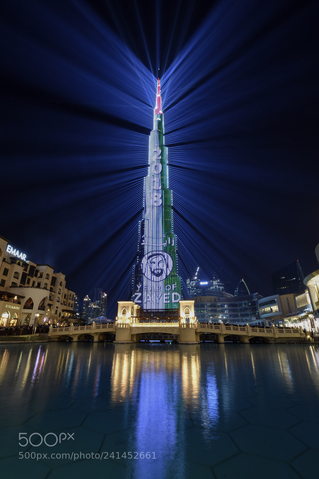 Nikon D7200 sample photo. Year of zayed photography