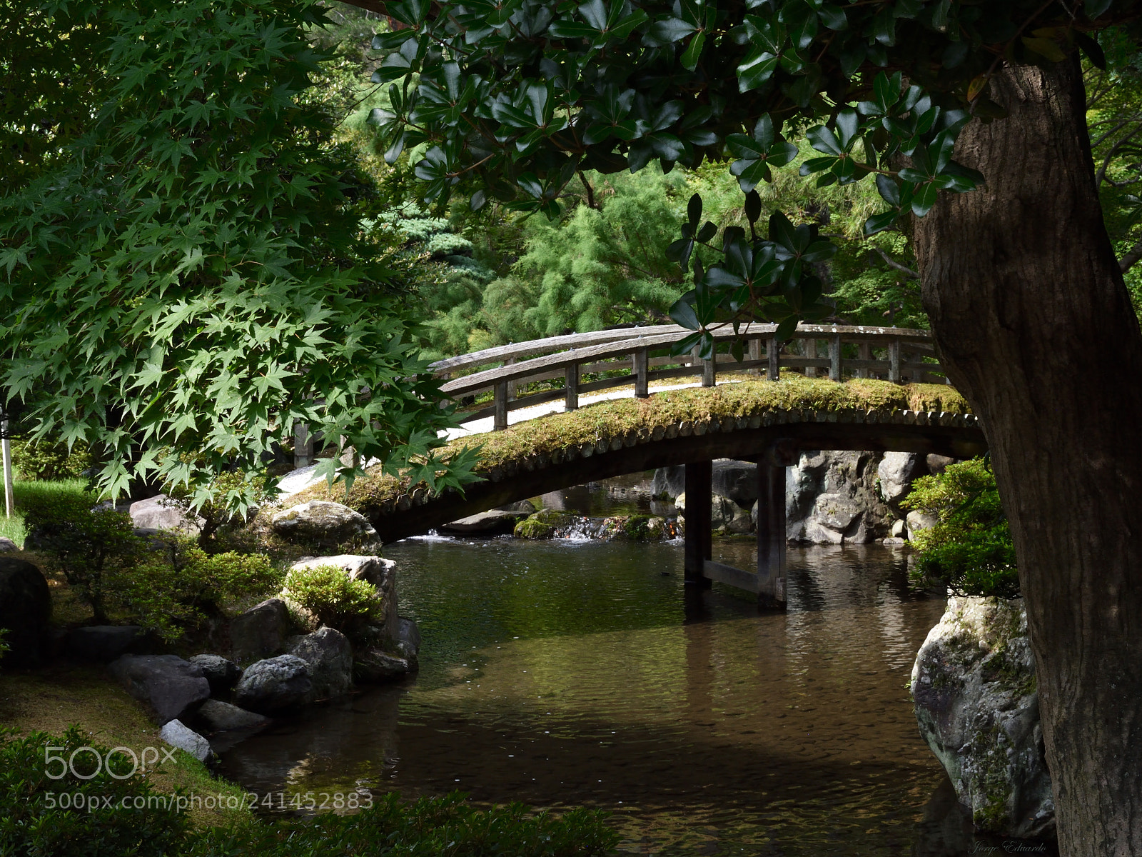 Nikon D5500 sample photo. Puentezeninstagram photography