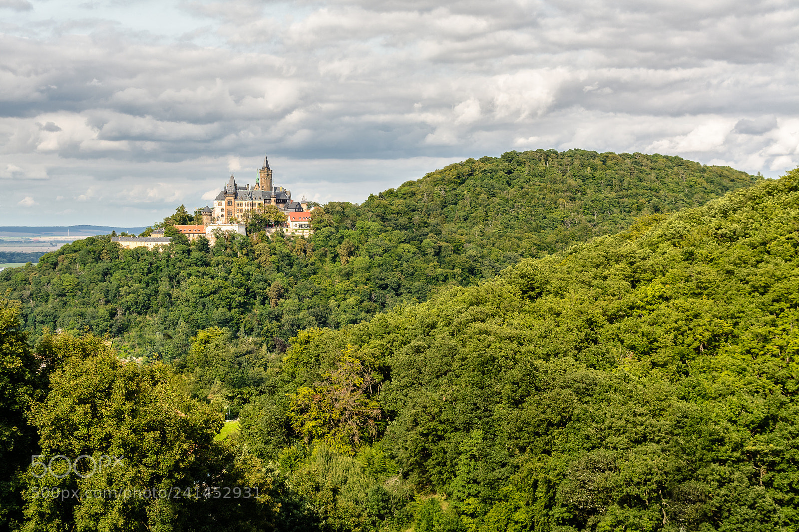 Nikon D7100 sample photo. Wernigerode castle photography