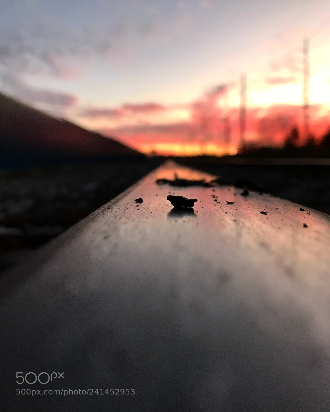 Apple iPhone 7 Plus sample photo. Untitled photography