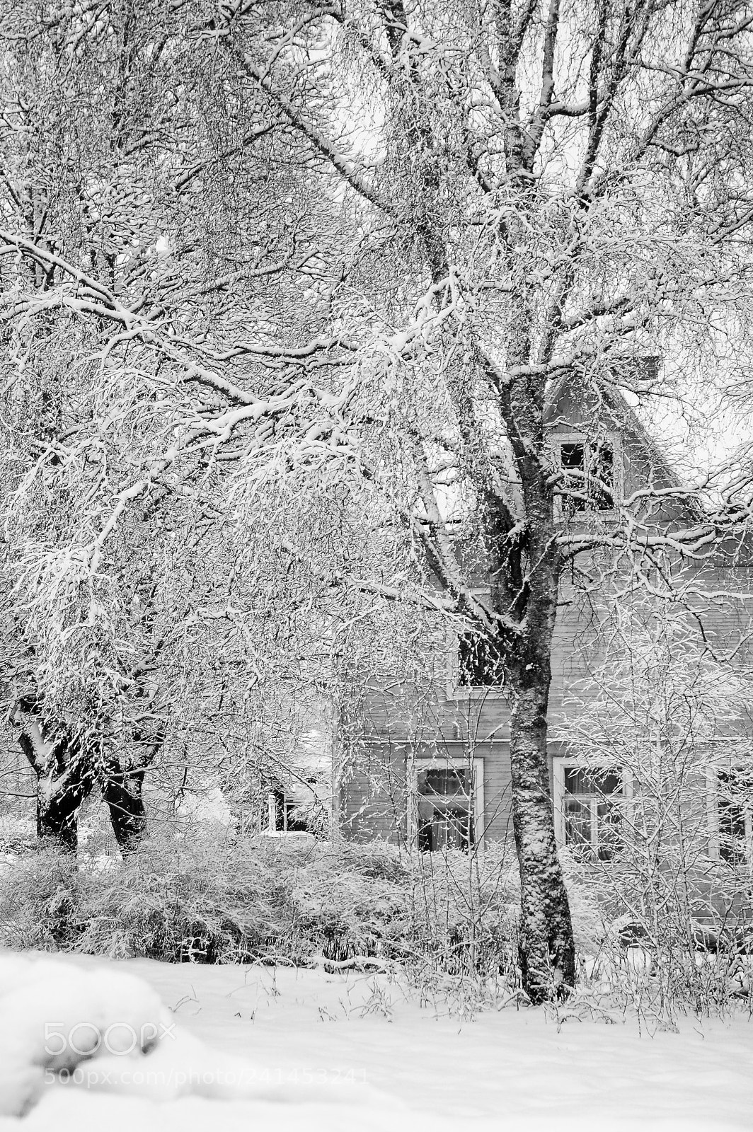 Pentax K-3 sample photo. Snow in kärrgruvan photography