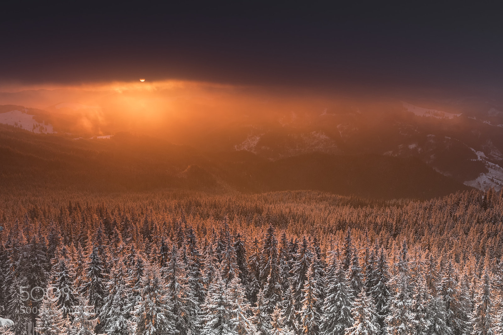 Nikon D500 sample photo. Magic of bucovina photography