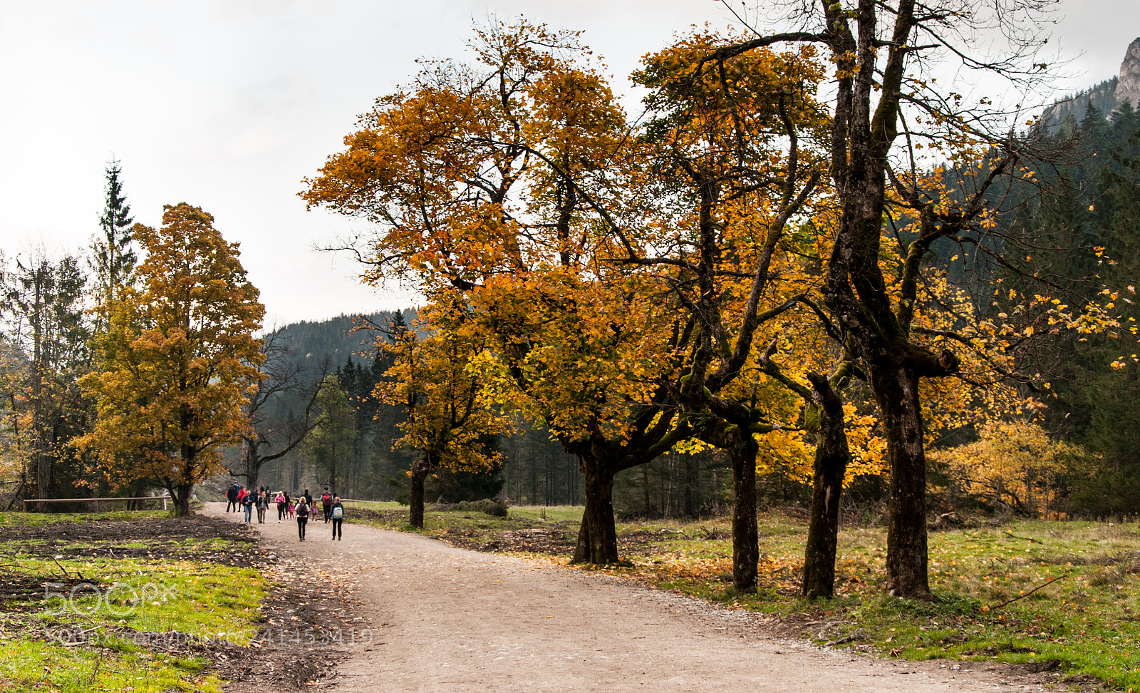 Nikon D90 sample photo. Autumn in valley photography