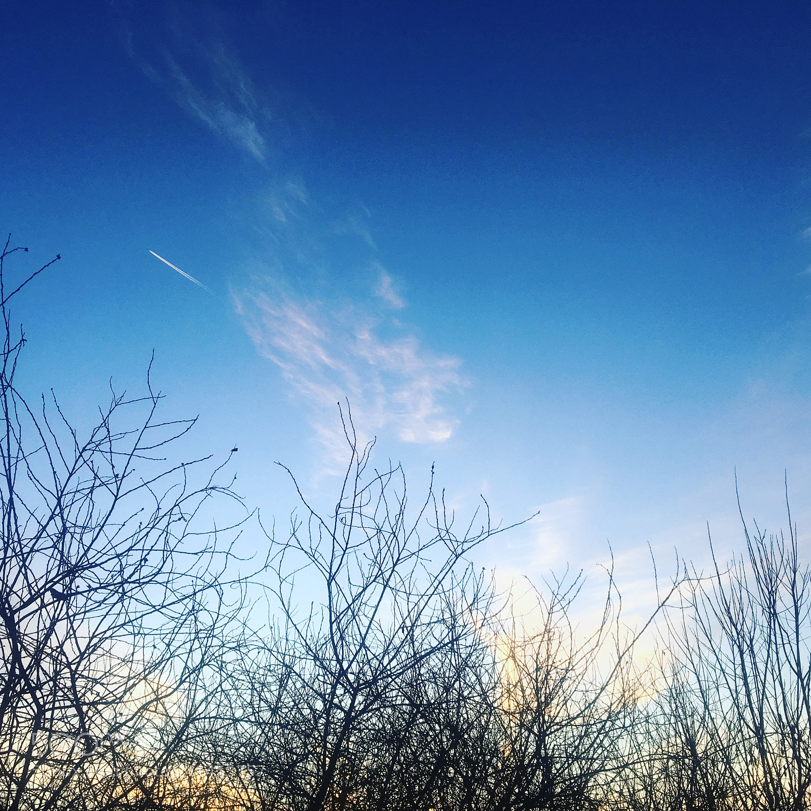 Apple iPhone 6s sample photo. Untitled photography