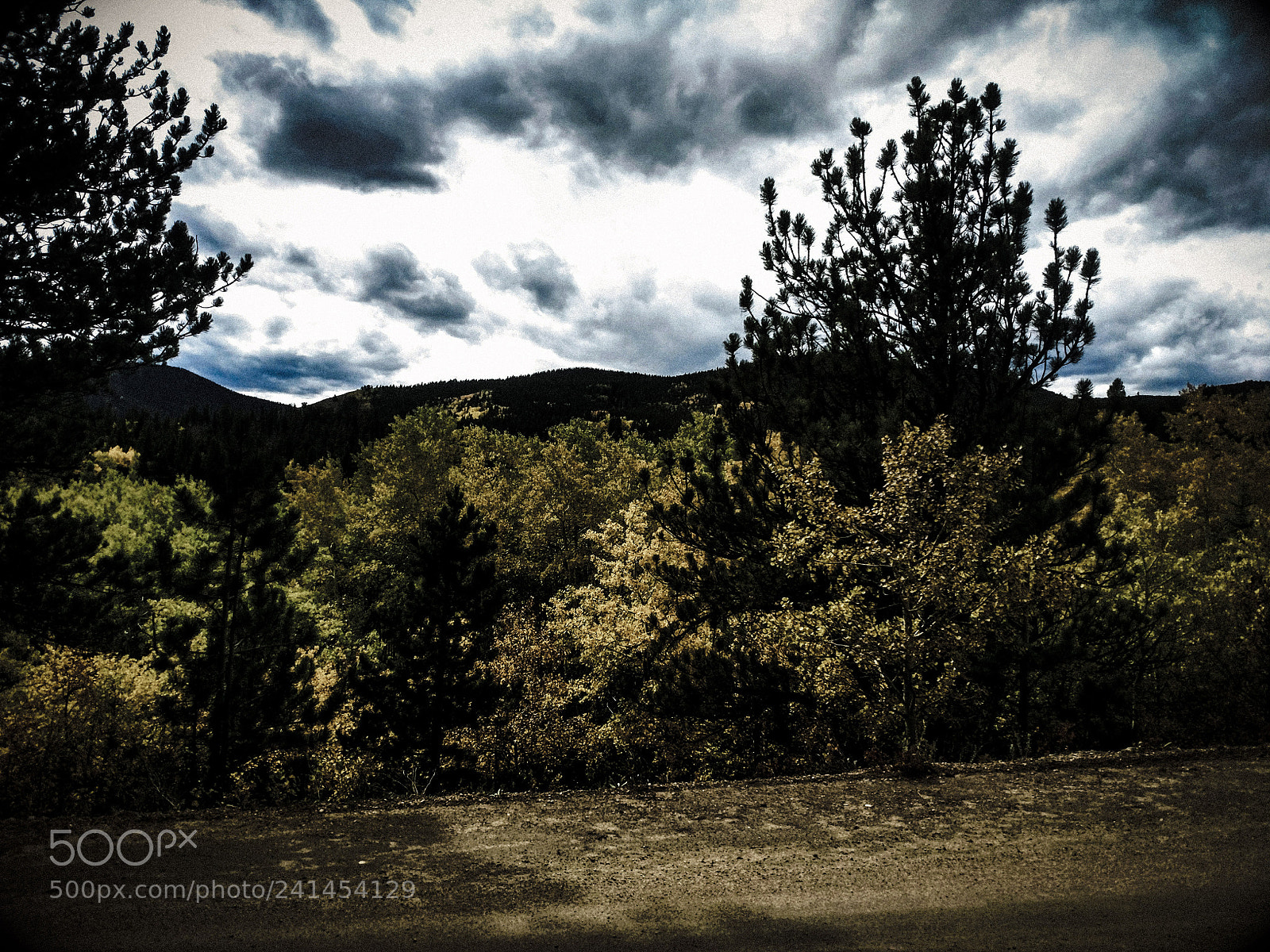Motorola XT1650 sample photo. Woods photography