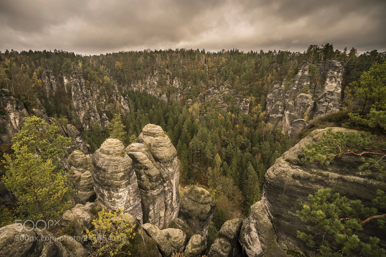 Sony a7 II sample photo. Rock's around bastei area () photography