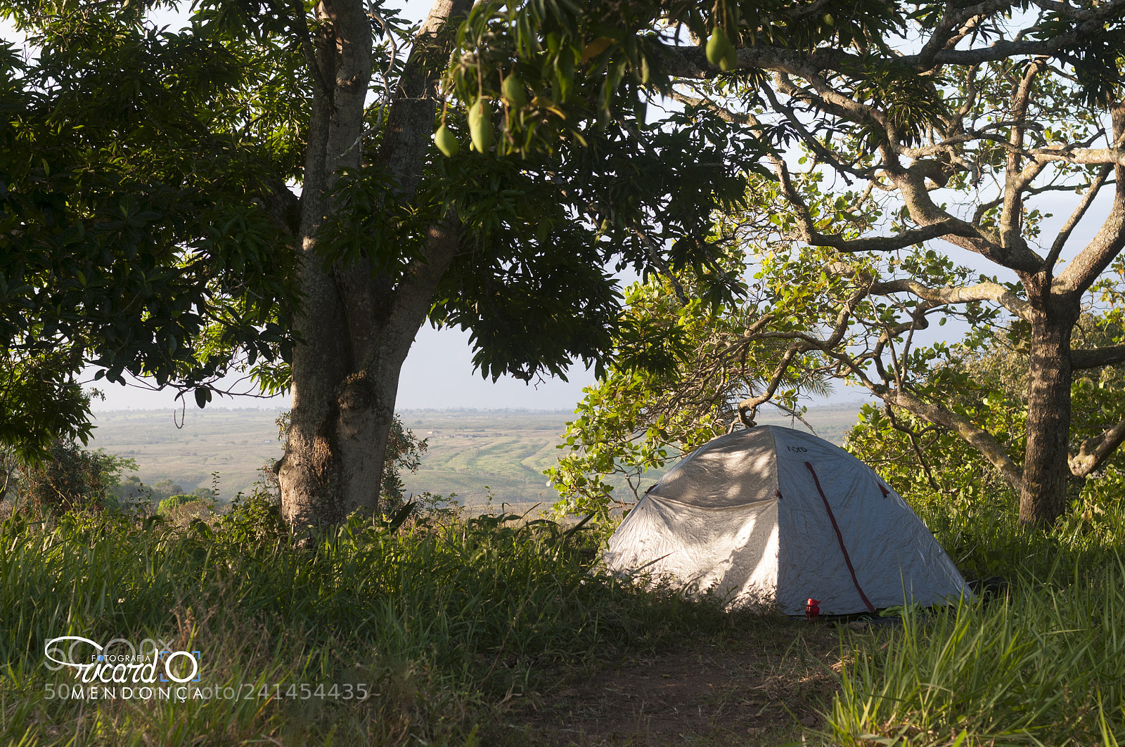 Nikon D90 sample photo. Na natureza selvagem photography