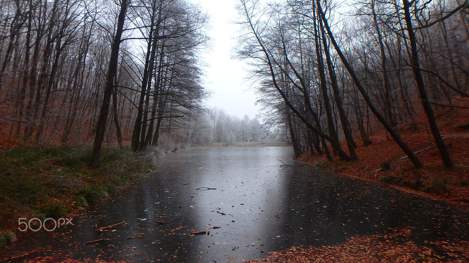 Olympus TG-850 sample photo. Égervölgy lake in the forest photography