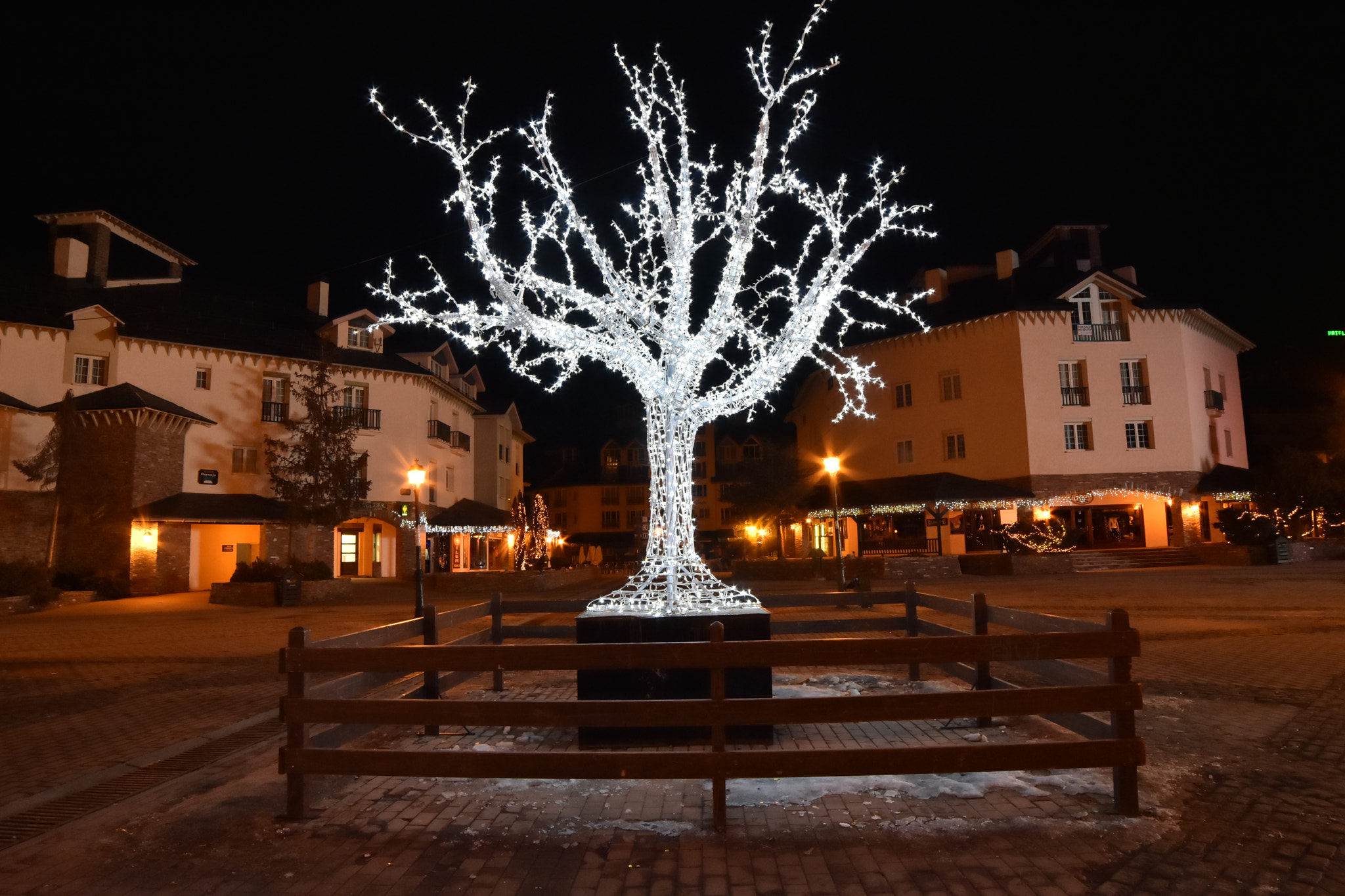 Samyang 14mm F2.8 ED AS IF UMC sample photo. Christmas tree photography