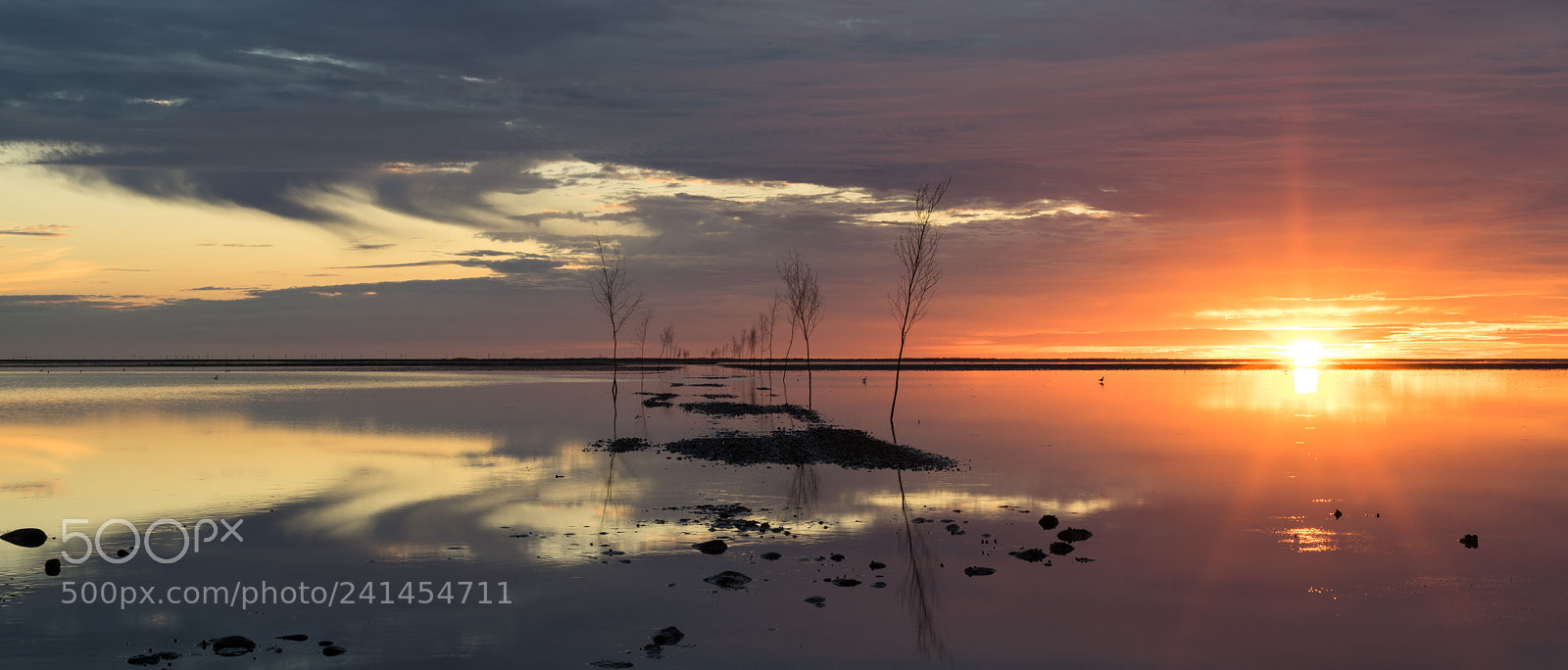 Sony a7 II sample photo. [tranquility] photography