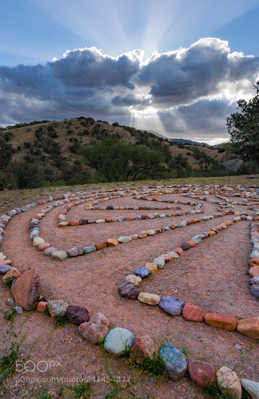 Sony a6300 sample photo. Labyrinth photography
