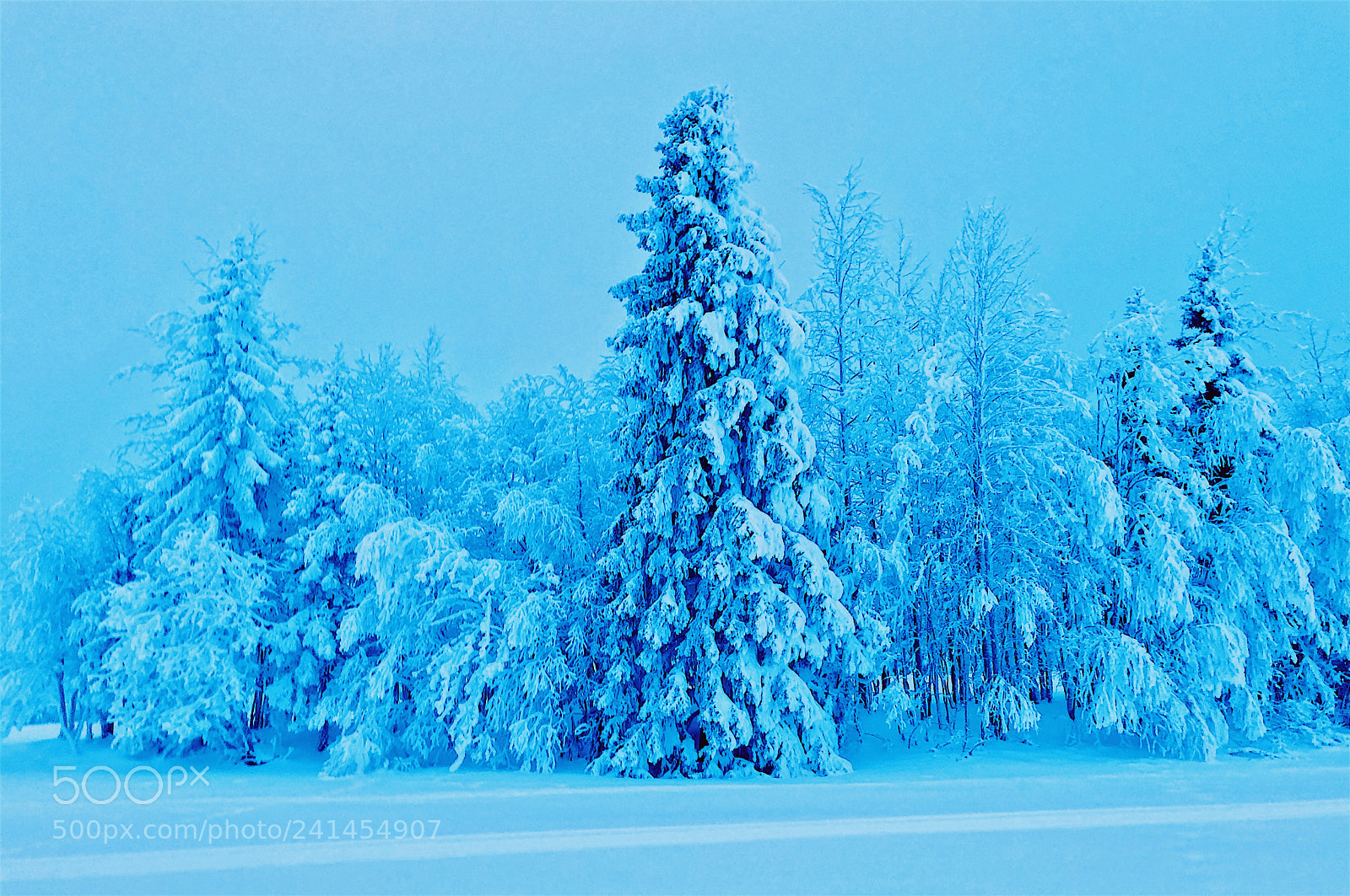 Apple iPhone X sample photo. Lapland photography