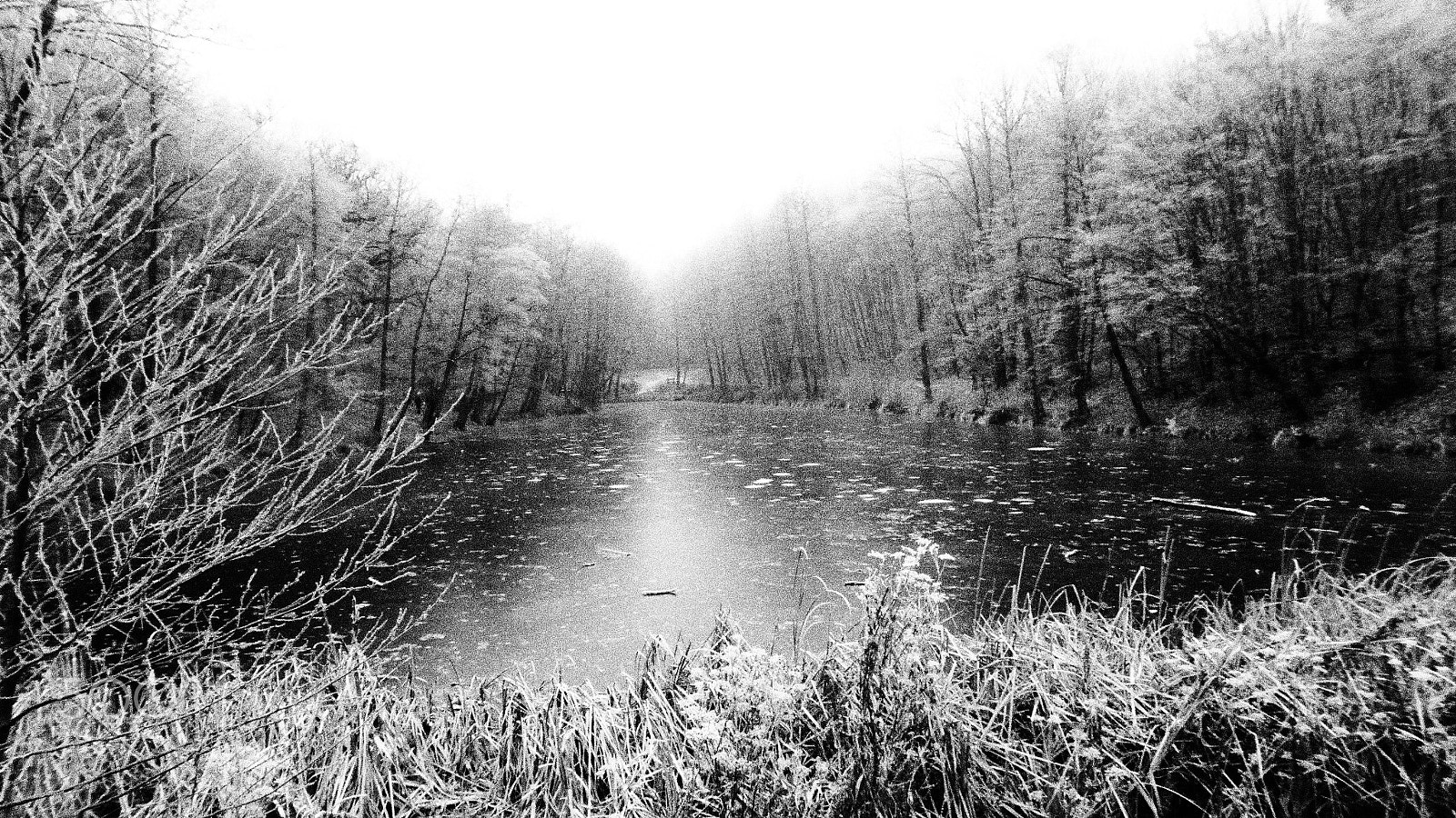 Olympus TG-850 sample photo. Égervölgy lake black and white photography