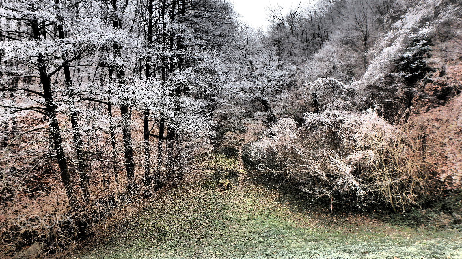 Olympus TG-850 sample photo. Égervölgy valley winter photography