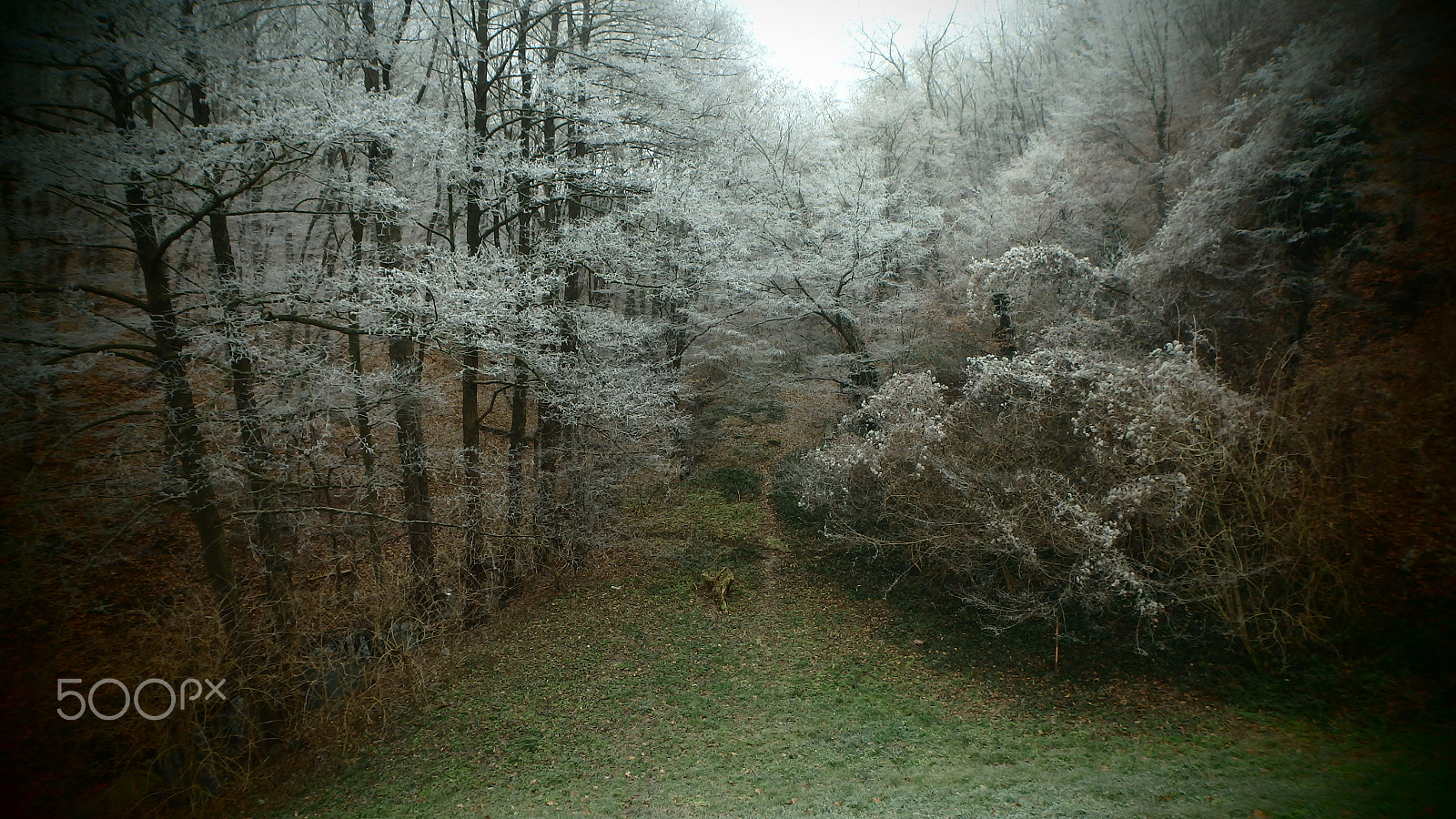 Olympus TG-850 sample photo. Égervölgy valley in winter photography
