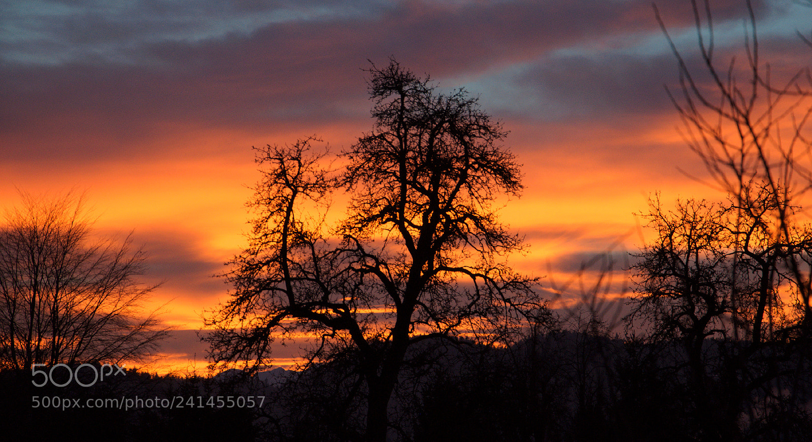 Nikon D90 sample photo. An alpine sunset photography