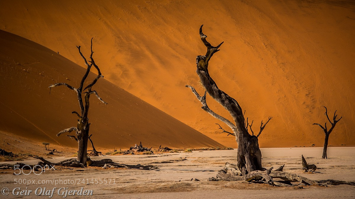 Nikon D7100 sample photo. Dry landscape photography