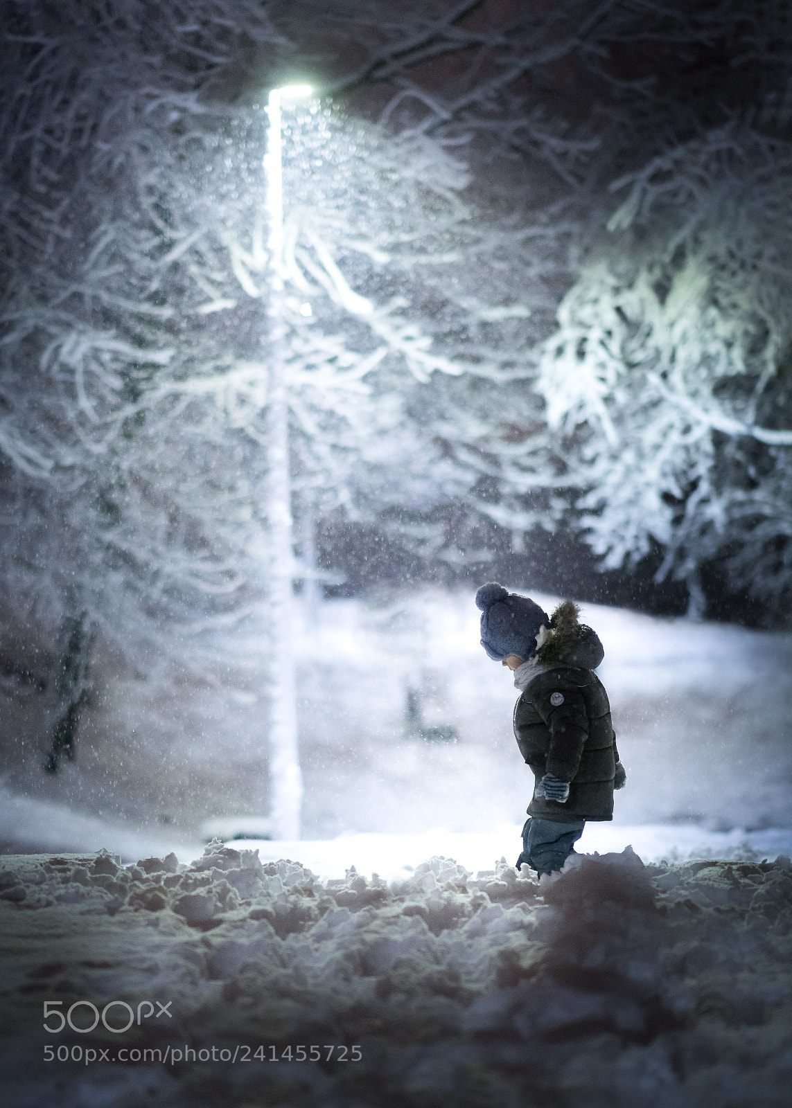 Sony a7 II sample photo. Deep into the winter photography