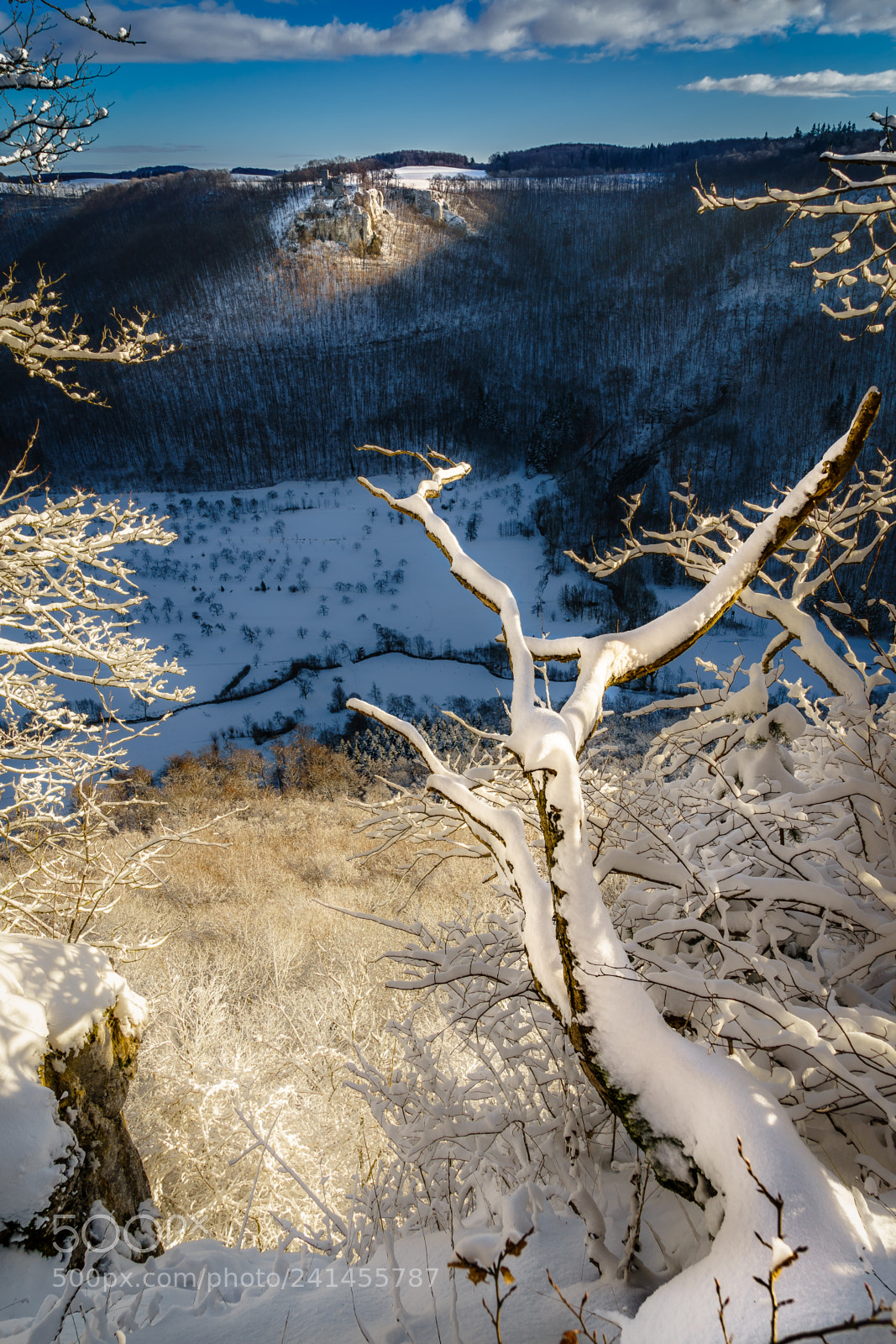 Sony a7 II sample photo. Winter auf der schw photography