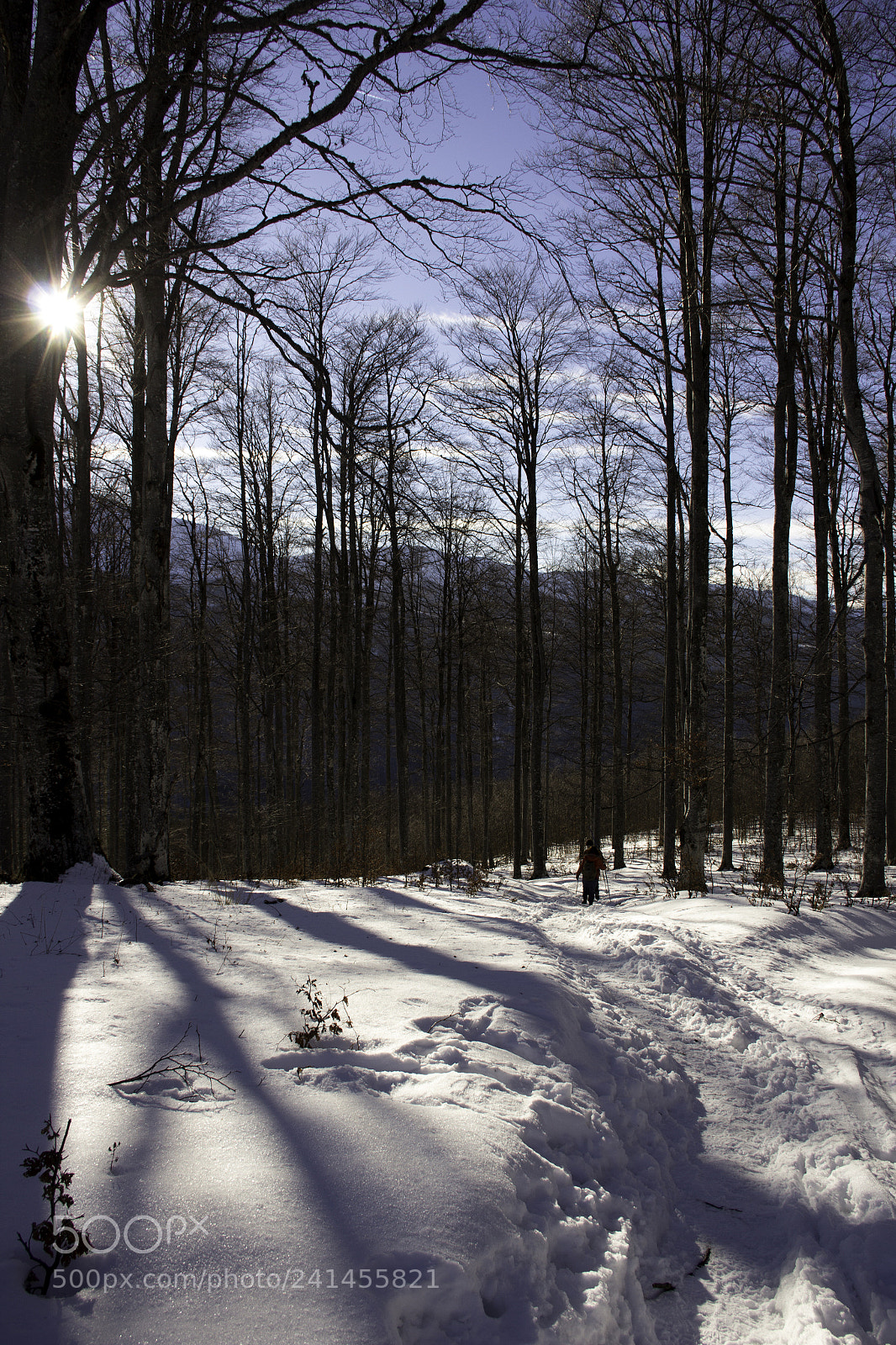 Canon EOS 60D sample photo. Framework photography