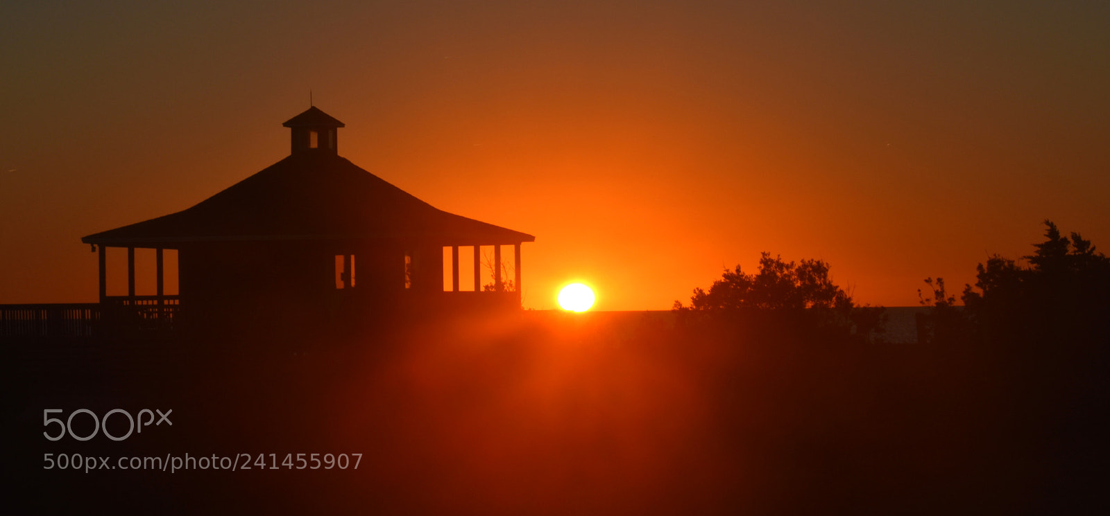 Nikon D3400 sample photo. Orange and black photography