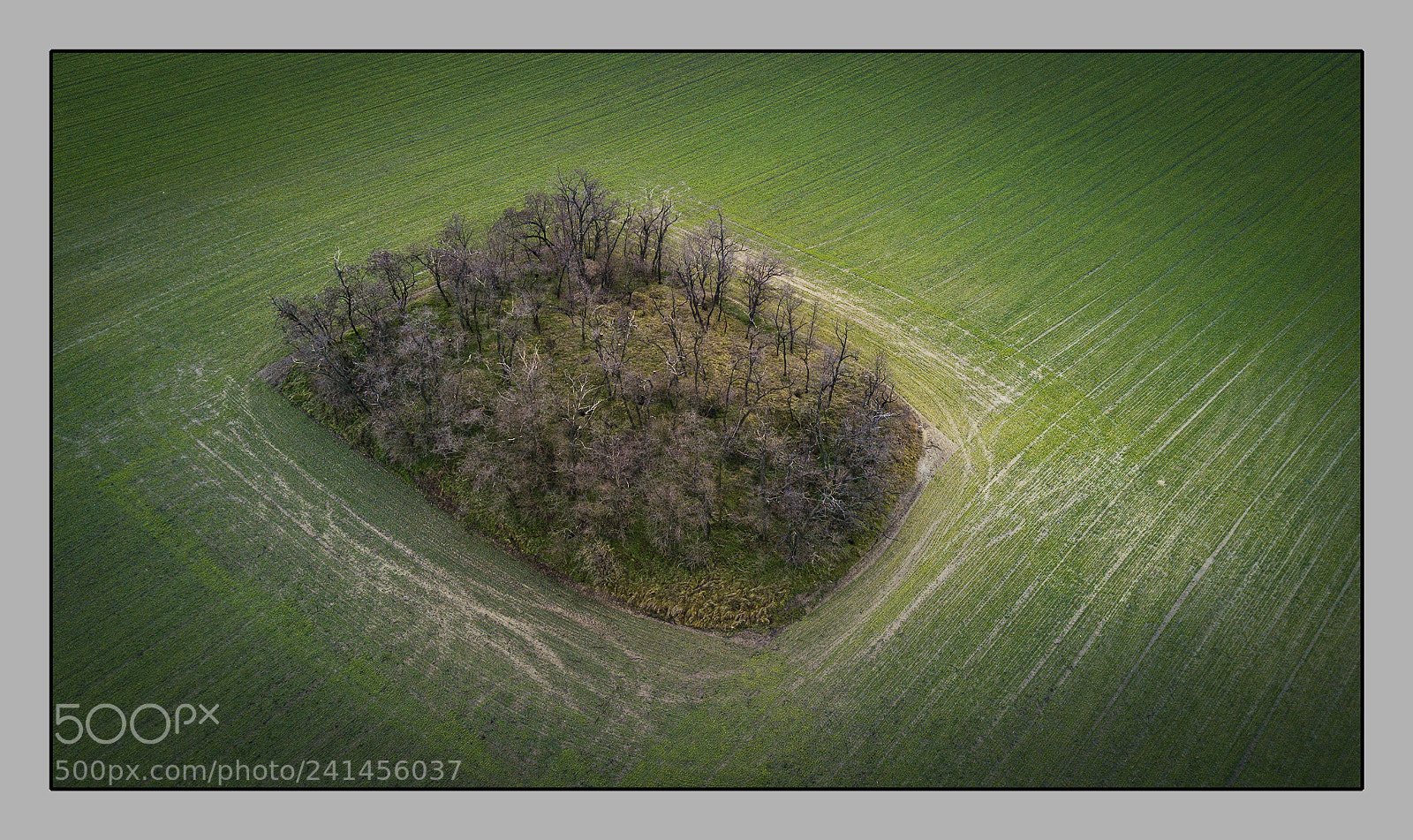 DJI FC220 sample photo. Little island photography
