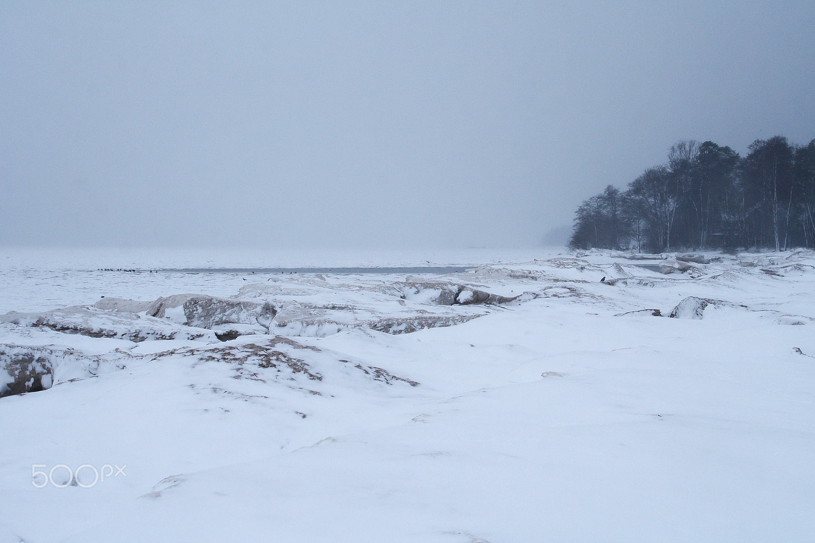 Canon EOS 1000D (EOS Digital Rebel XS / EOS Kiss F) sample photo. On the frozen shore photography