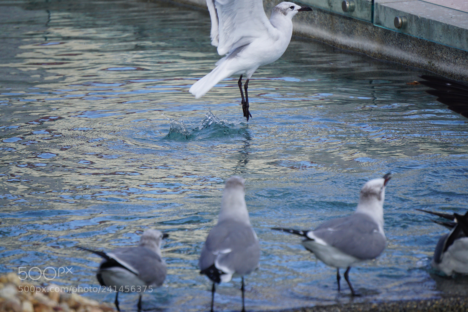 Sony E 55-210mm F4.5-6.3 OSS sample photo. Trainstation goodbye photography