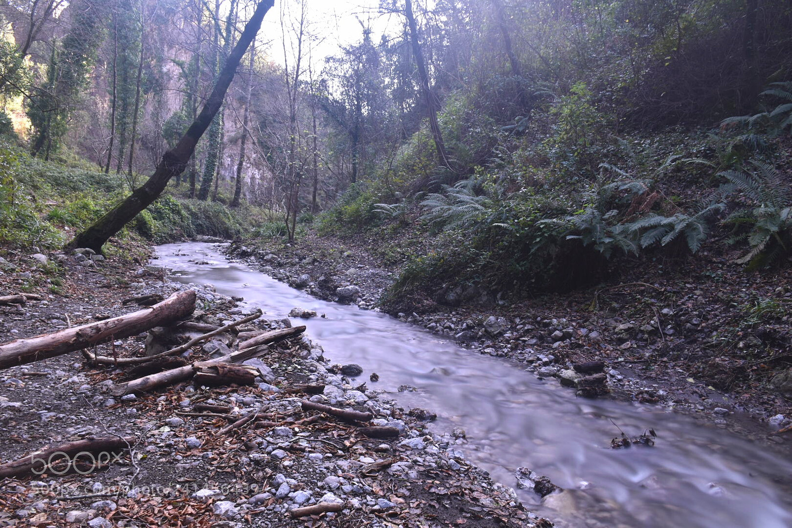 Nikon D5600 sample photo. Panta rhei photography