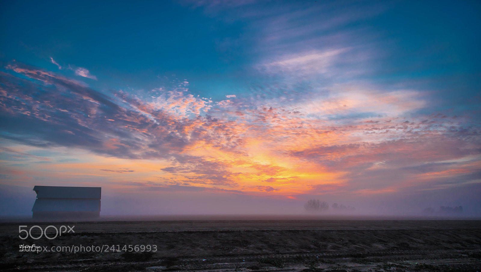 Canon EOS 6D Mark II sample photo. Fog sunrise photography