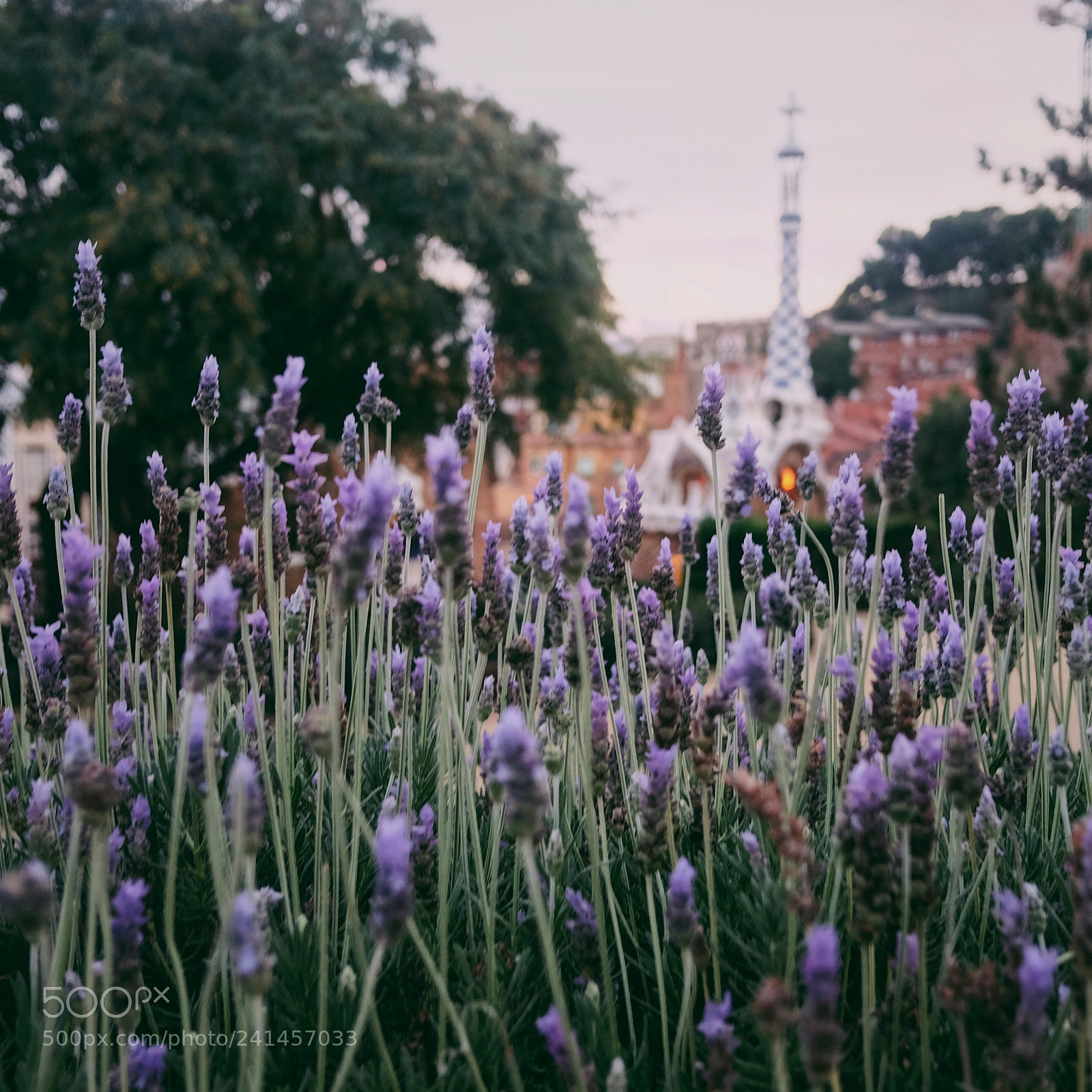 Fujifilm X70 sample photo. Untitled photography